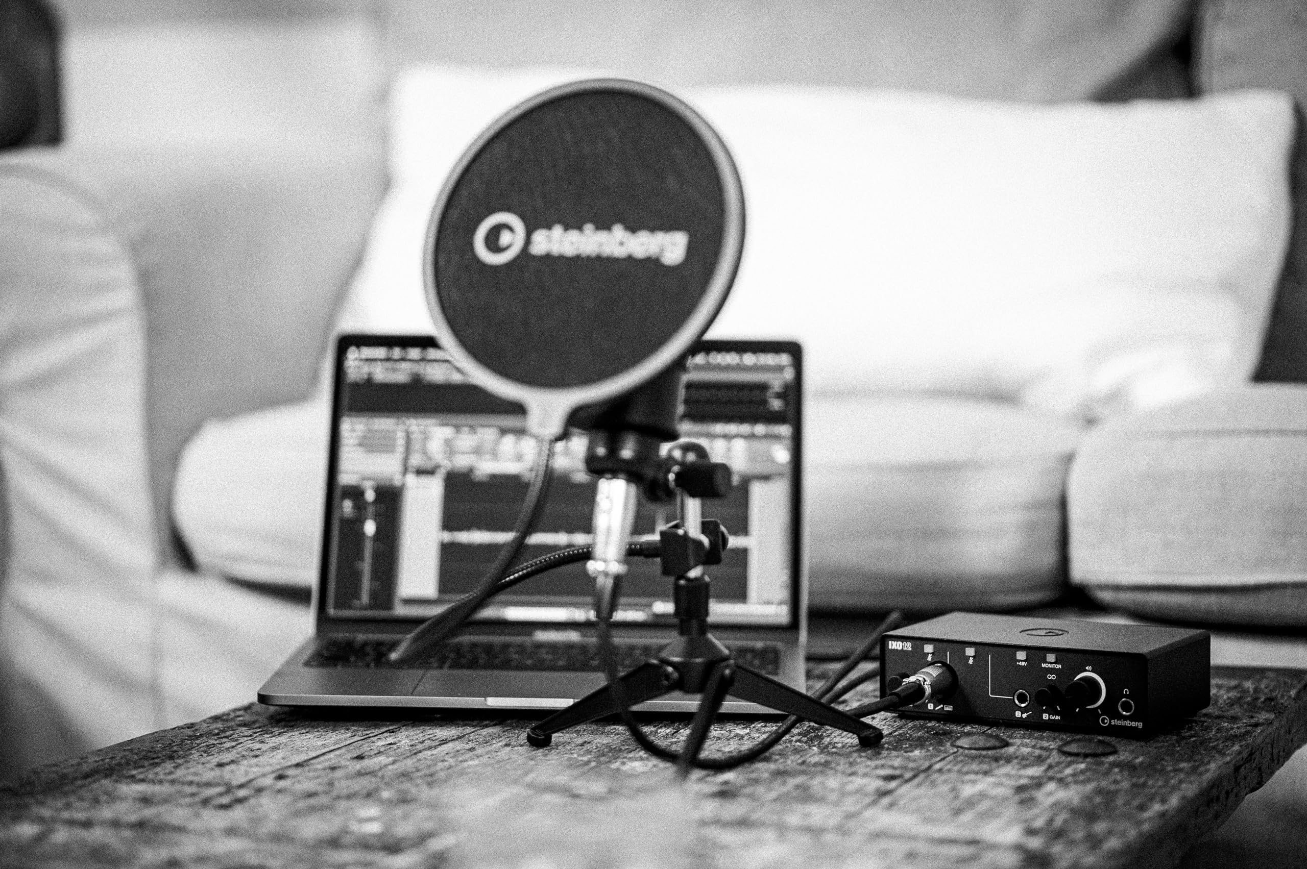 Steinberg IXO Podcast Pack, IXO12 USB 2.0 Interfaz de audio, micrófono de estudio y WaveLab Cast, Cubase AI y Cubasis LE Software Suite