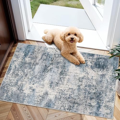 HILORUUG 2x3 Abstract Blue Entryway Rug