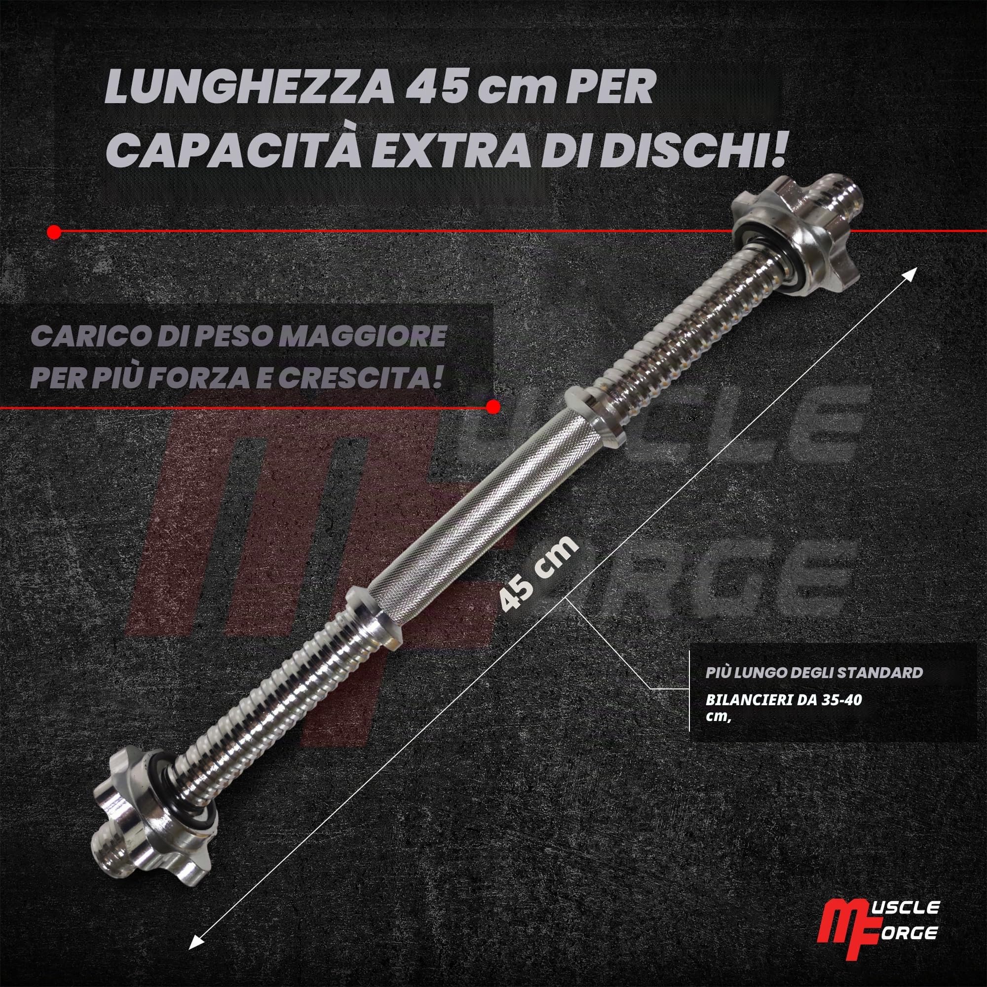 Manubri Palestra 45cm Acciaio Cromato – Extra Lungo, Filettata, 2 Collari Inclusi Compatibile Piastre Foro 25-28 mm – Grip Zigrinato Antiscivolo, Carico Esteso, Uso Domestico