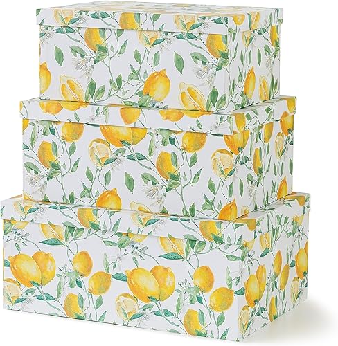 Miniatura 15 de Soul & Lane Cajas de almacenamiento de cartón decorativas con tapas para decoración y organización del hogar, juego de 3 cajas grandes de recuerdo