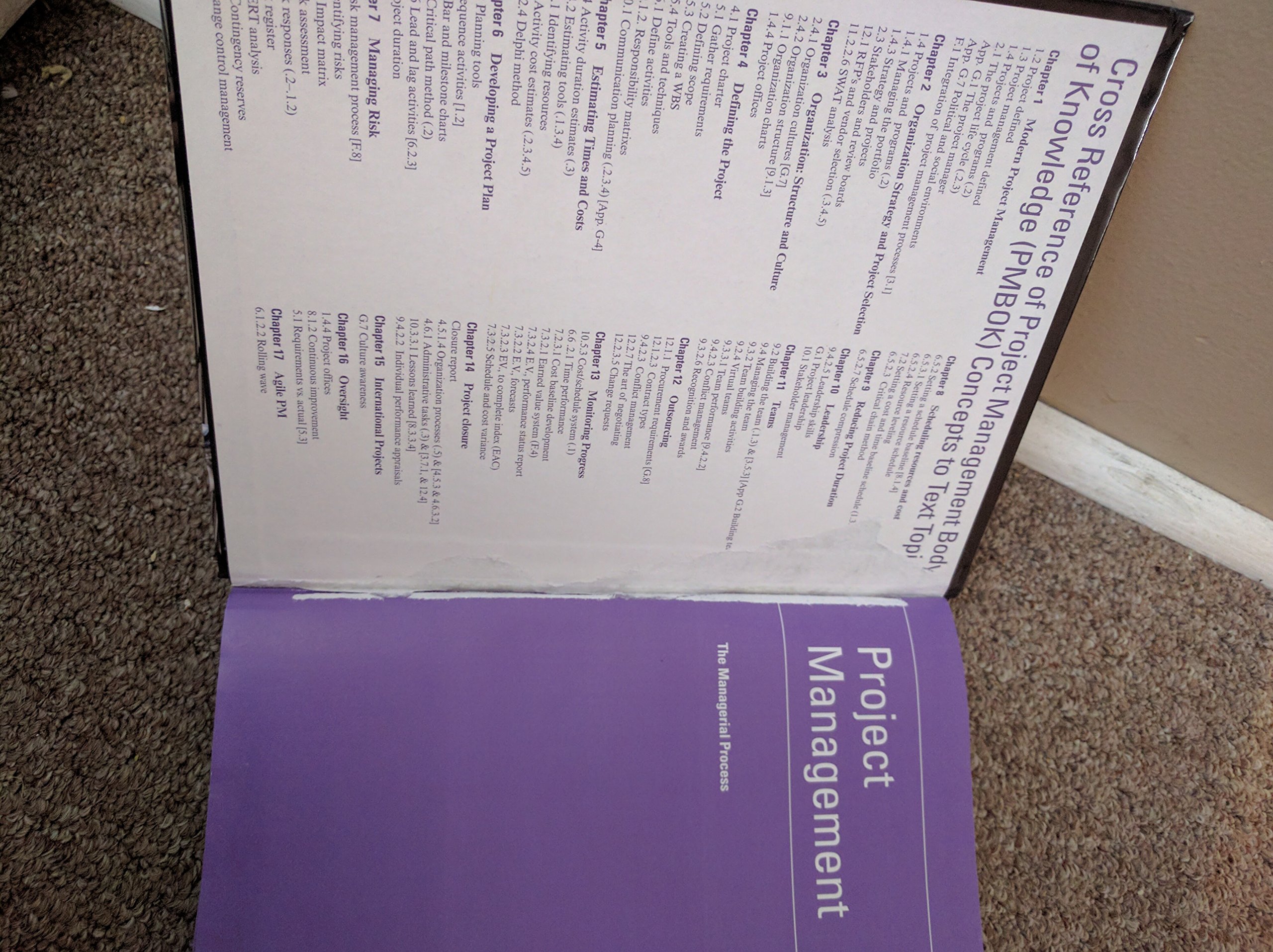 Project Management: The Managerial Process