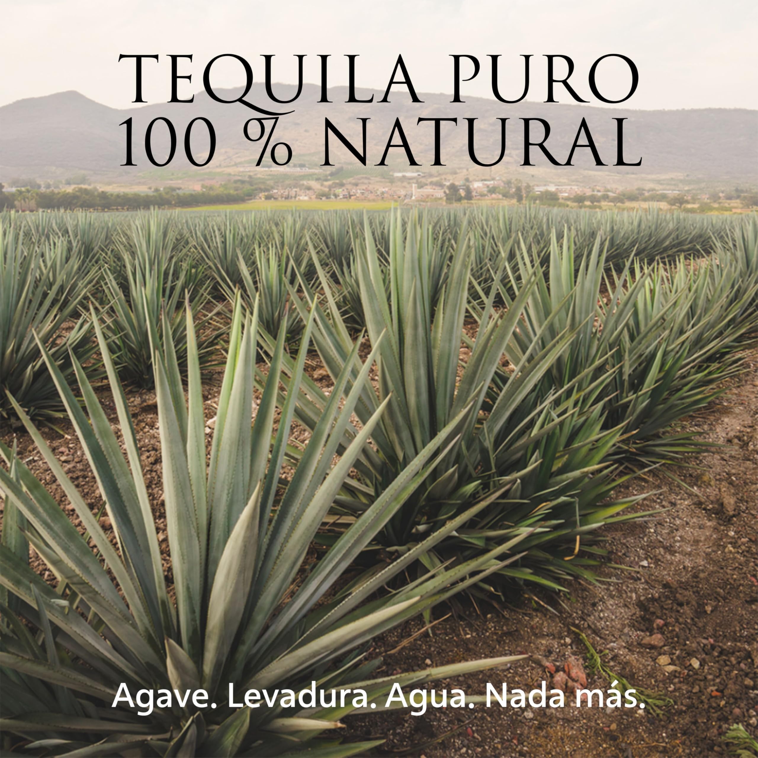 PATRÓN Añejo Premium Tequila, 40% vol., 70 cl / 700 ml, Tequila 100% de agave, elaborado artesanalmente en México, en pequeñas cantidades, con el mejor agave Azul Weber, añejado en barricas de roble