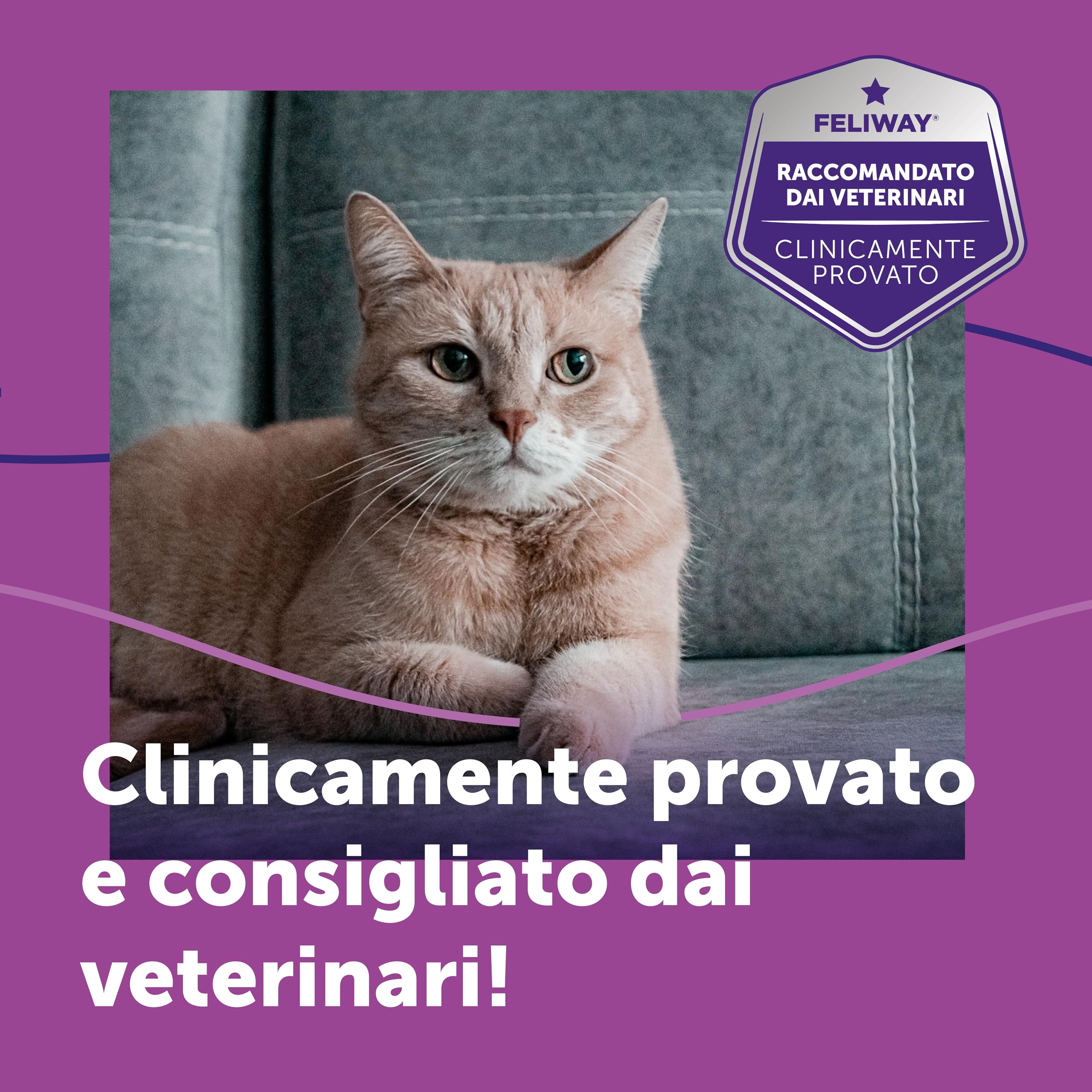FELIWAY Classic Starter Kit Diffusore di Feromoni Calmanti per Gatti, 48 ml – Aiuta a risolvere i segni comuni di stress nei gatti e gattini, Raccomandato dai Veterinari, Clinicamente Testato