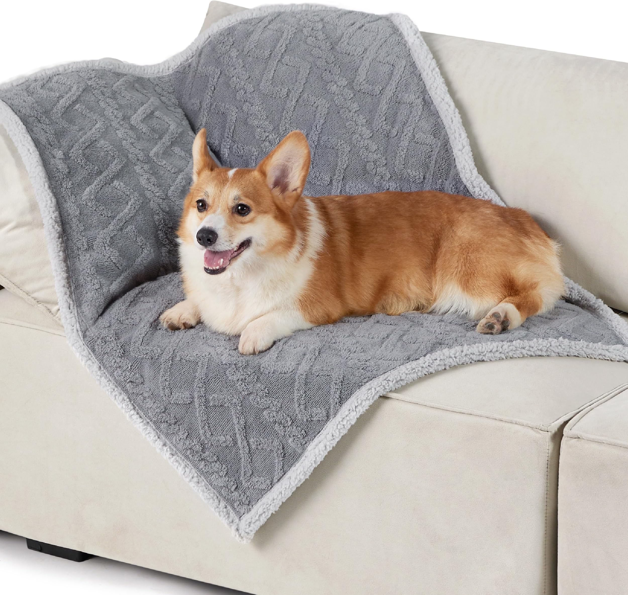 PAWZ Road Pet Dog Blanket Fluffy Fleece Fabric Soft and Cute Warm Dot