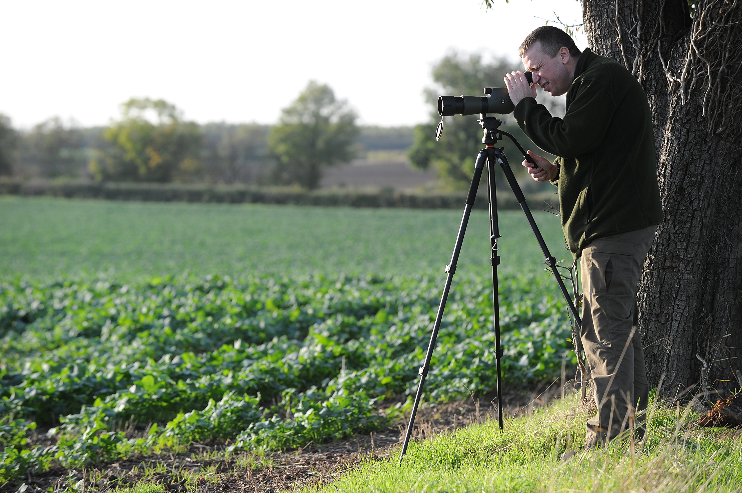 Amazon | VANGUARD｜ENDEAVOR XF 60A｜スポッティングスコープ