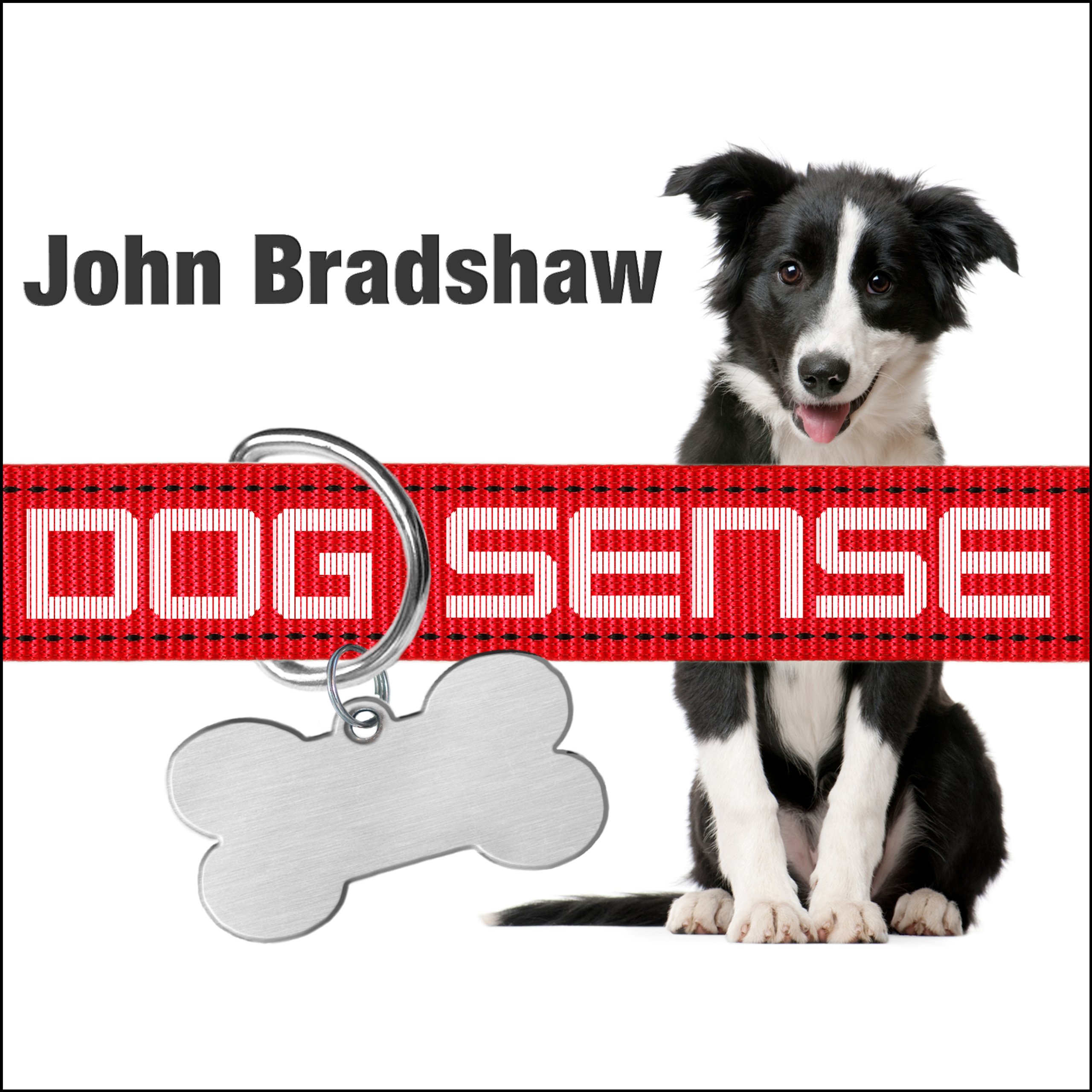 Cover art for Dog Sense