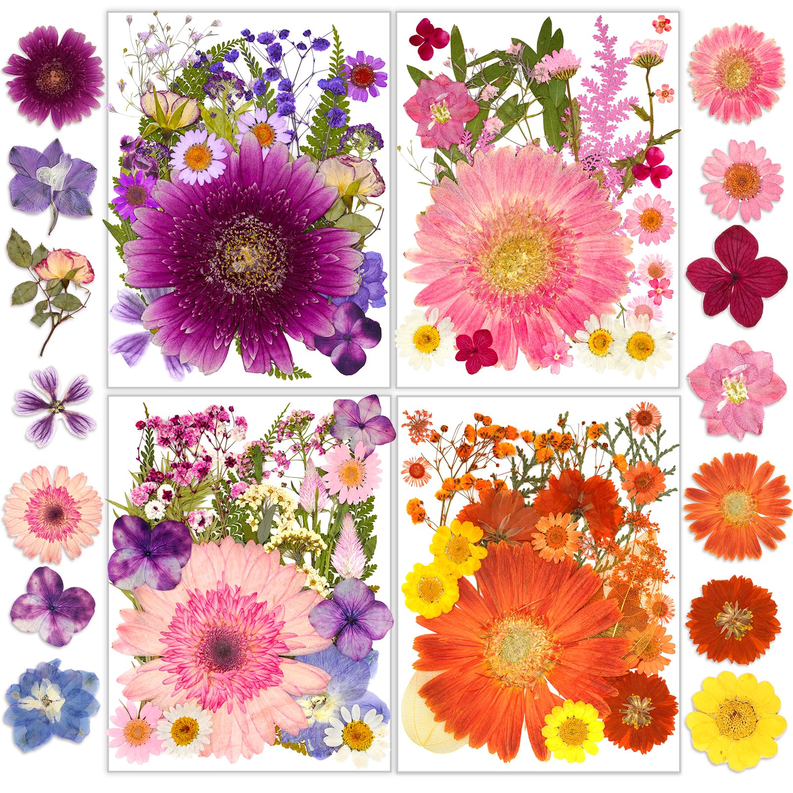 Dried Pressed Flowers, Resiners Dried Flowers for Candle Making Real Natural Pressed Flowers Dry Leaves Kit for DIY Crafts Resin Soap Scrapbook Card Making Jewelry (Gerbera Daisy 100pcs)