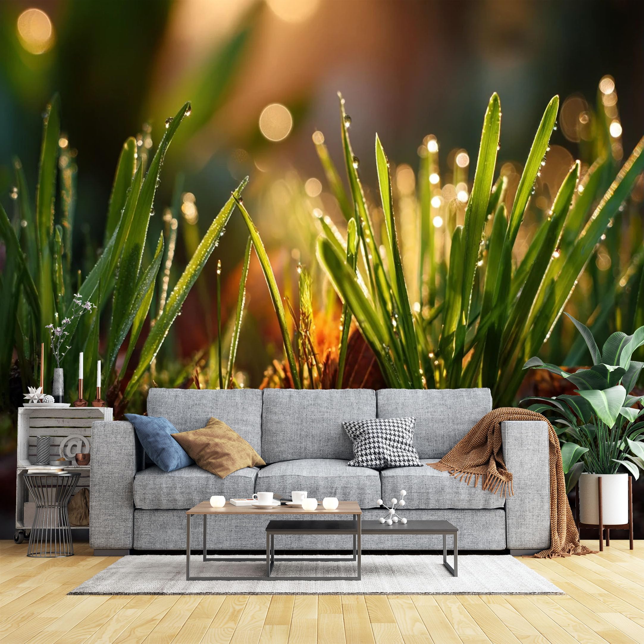 Custom Size Wall Murals Dewy Grass in Sunlight Wall Murals Nature Close-up Wallpaper, Large Photo Wallpaper Self-Adhesive Removable Wallpaper for Living Room