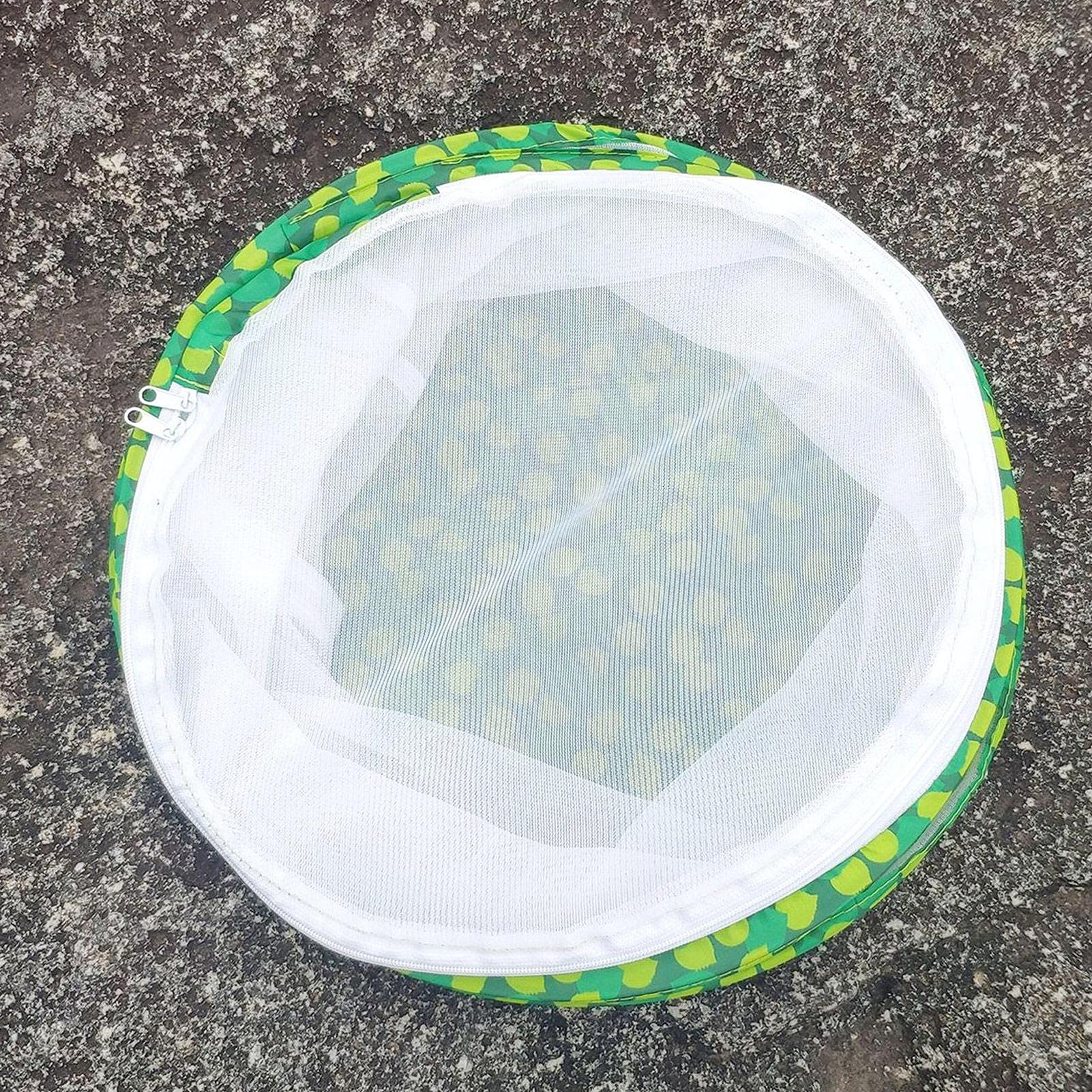 Cage d'élevage d'insectes pliable, filet de protection pour papillon et scarabée, portatif