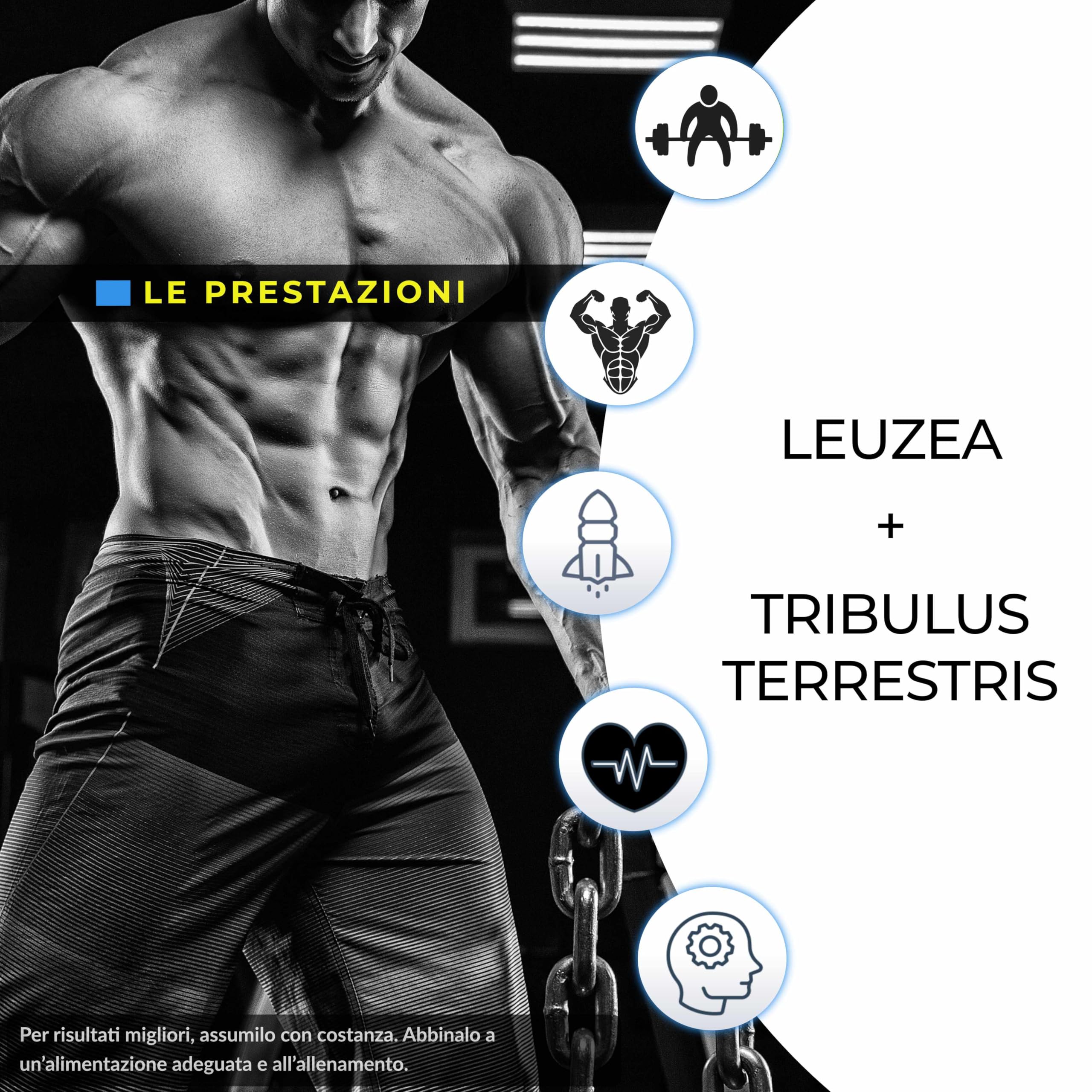 Ecdisterone - Tribulus Terrestris - Integratore alimentare di Synergie Nutrition con estratto di Tribulus 90% saponine (400 mg) e Leuzea Carthamoides 20:1 (400 mg) - 60 dosi