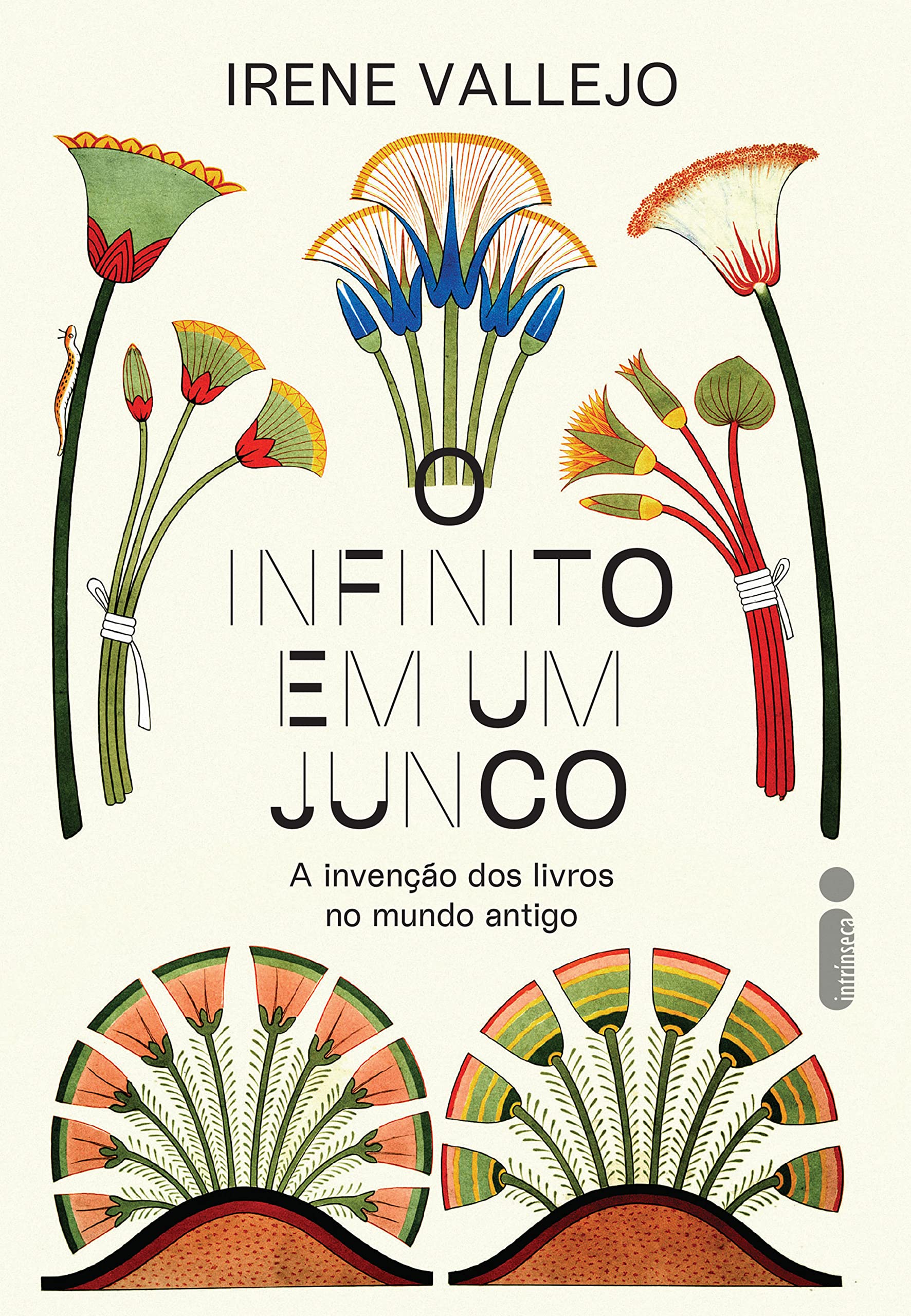 O infinito em um junco: A invenção dos livros no mundo antigo (Portuguese Edition)
