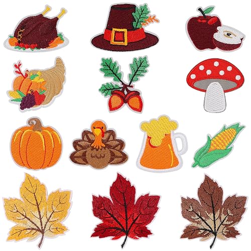 Lucleag 13Pcs Fall Thanksgiving Embroidered Patches, Turkey Maple Leaf Pumpkin
