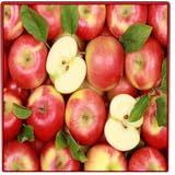 Certain fruits are lower in sugar than others. So what I am telling you is that all fruits are not created equal in nutritional value.