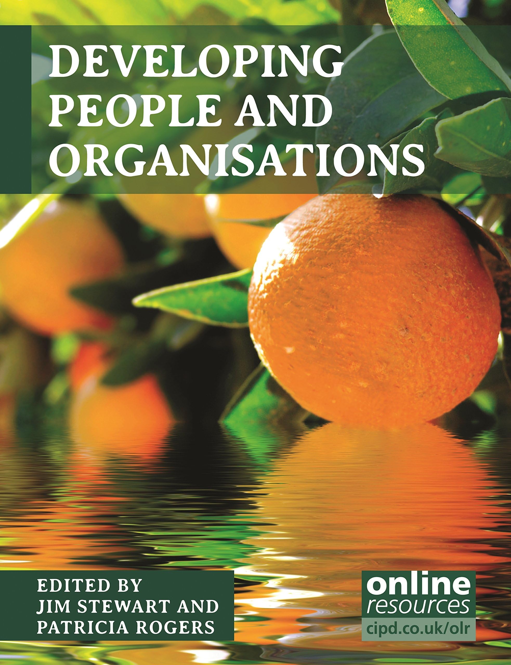 Developing People and Organisations (UK Higher Education Business Human Resourcing)