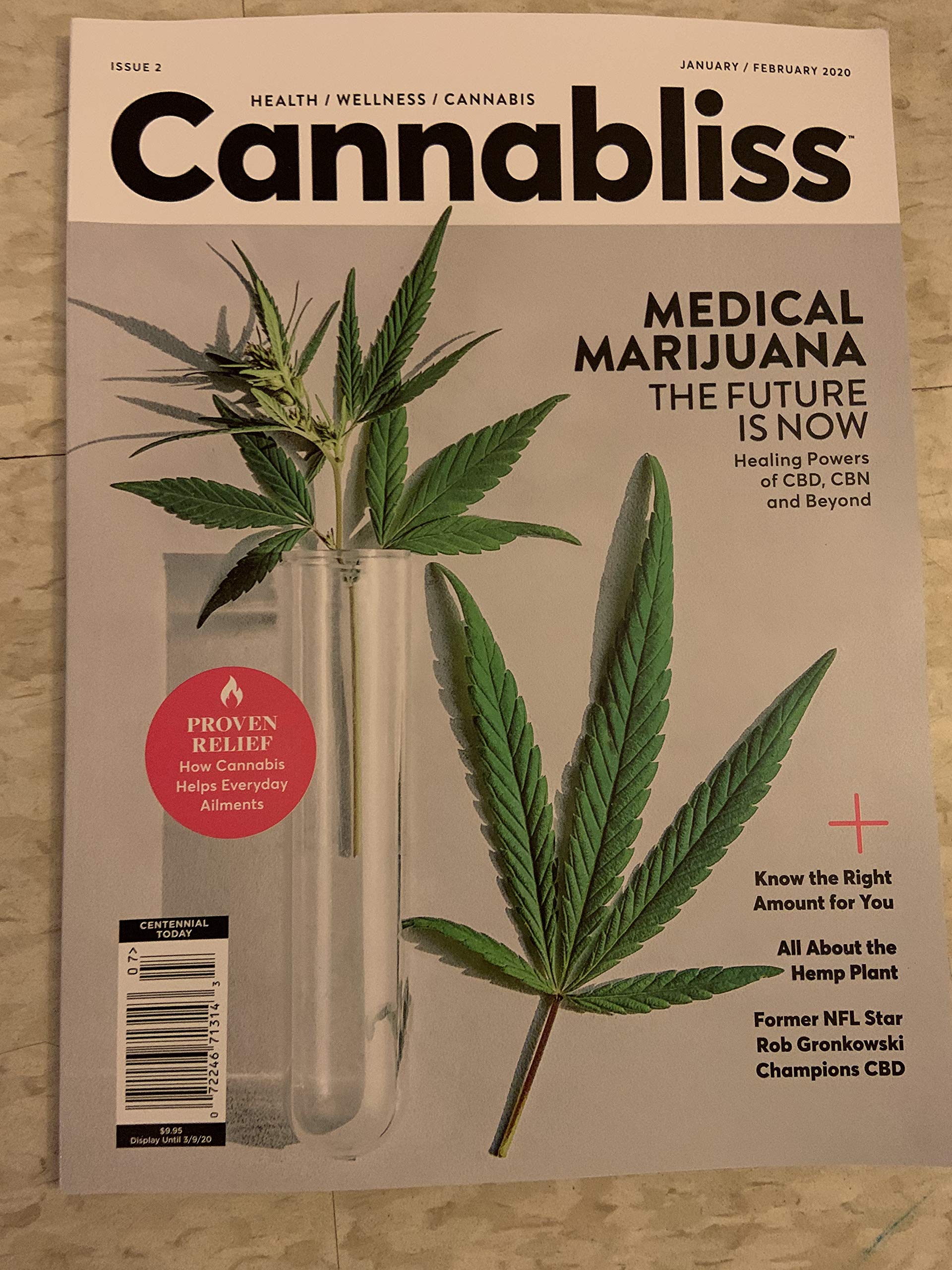 Cannabliss Issue 2 Magazine Medical marijuana the future is now 2019 Single Issue Magazine