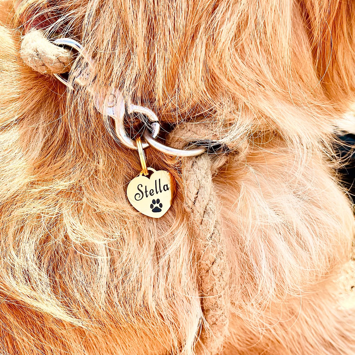 Médaille pour chien GOLDEN PAW en acier inoxydable avec gravure en forme de cœur, personnalisable et robuste, dogtag pour chiens, chevaux, chats et chiots – Or