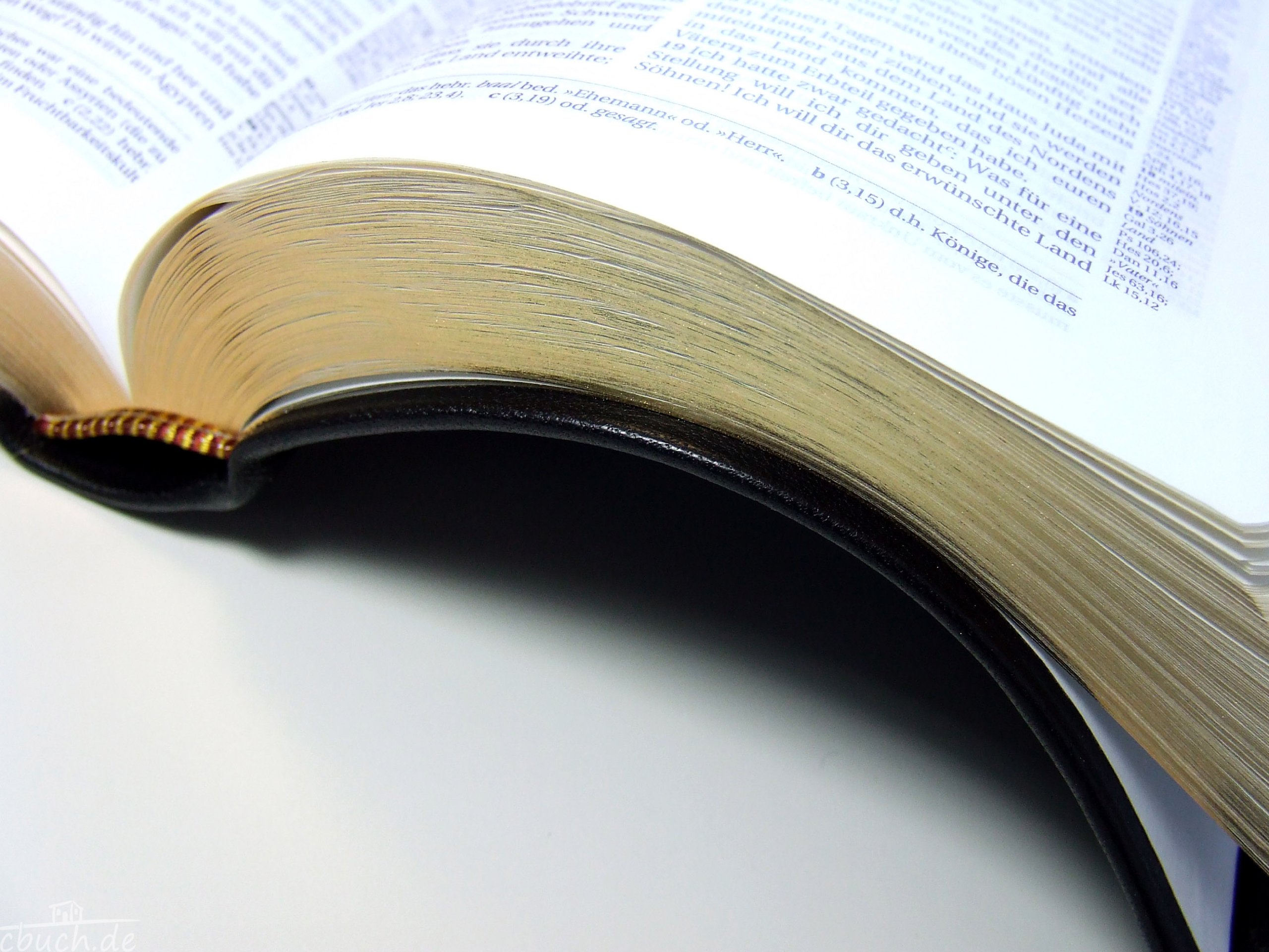 Schlachter 2000 Bibel - Taschenausgabe (Softcover, schwarz, Goldschnitt, Griffregister): Taschenausgabe mit Parallelstellen, Kalbsleder-Einband ... / neue Rechtschreibung / Fadenheftung