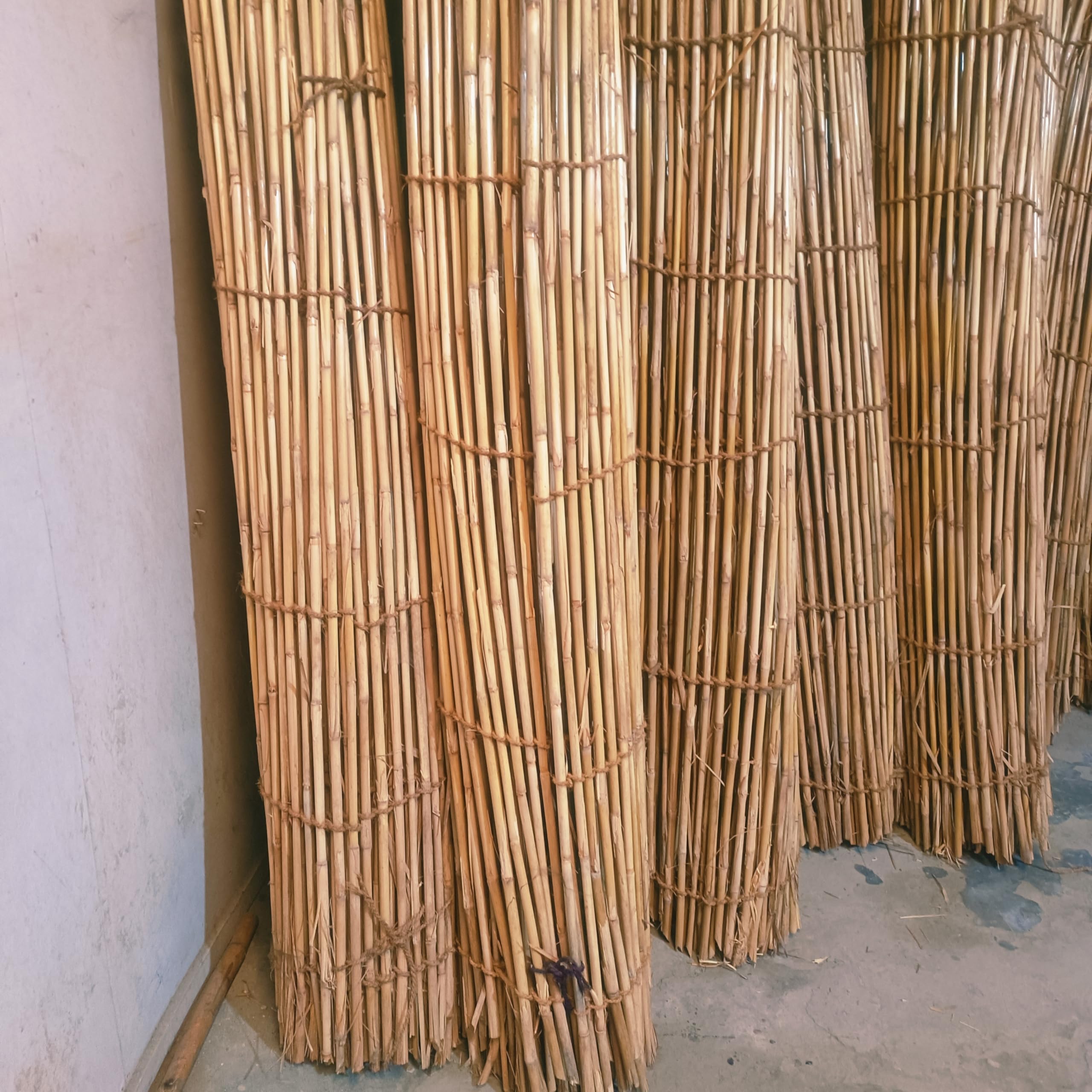 6.5×15 ft Freestanding Reed Privacy Screen — Bamboo Fence Roll for Terrace, Balcony & Patio