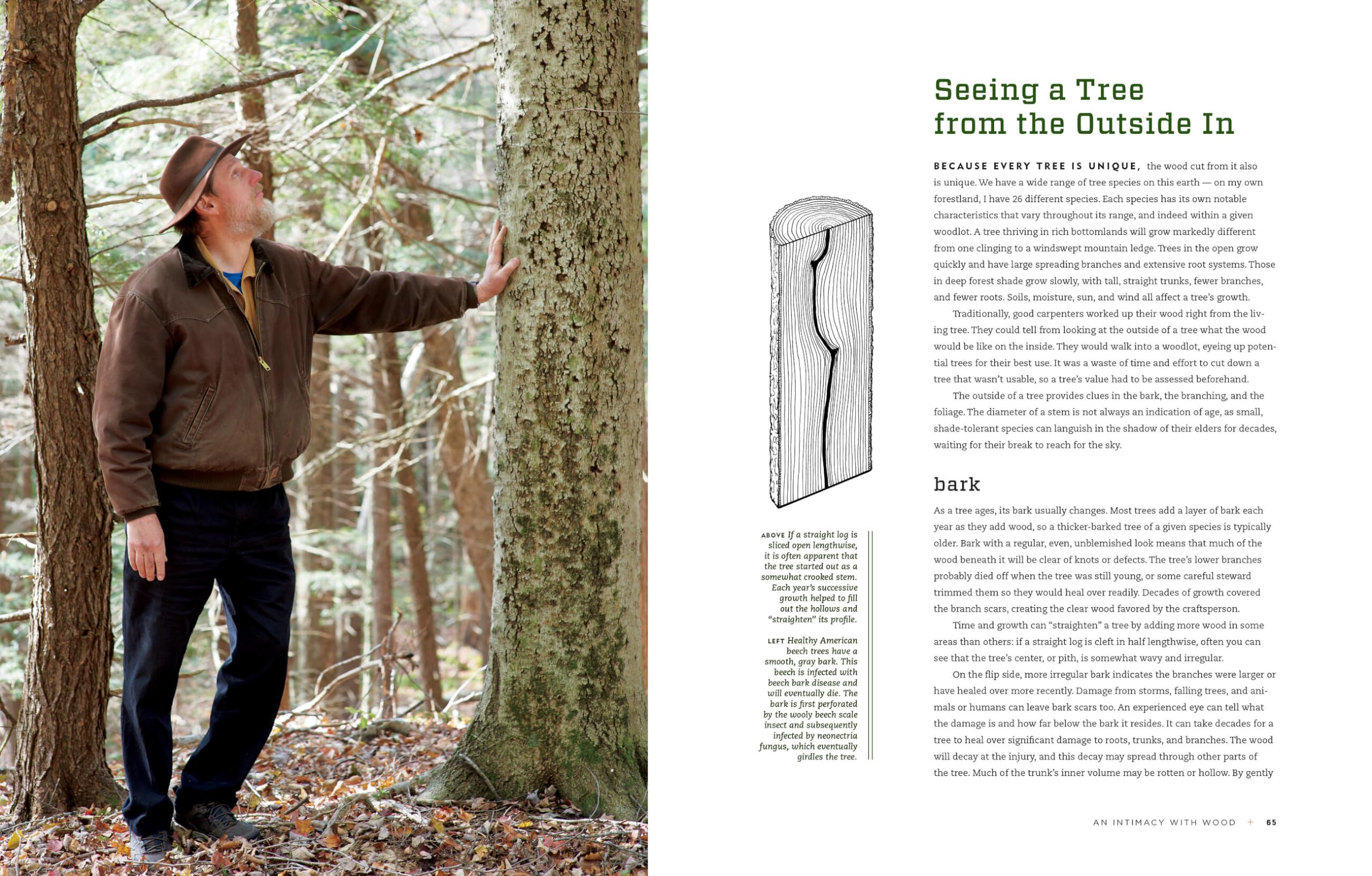 Hand Hewn: The Traditions, Tools, and Enduring Beauty of Timber Framing