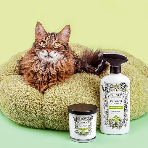 Miniatura 4 de Pet-Pourri - Vela ambientadora de olores para mascotas, Purrfectly Bamboo, 7.5 onzas, bambú (recomendado por veterinarios)