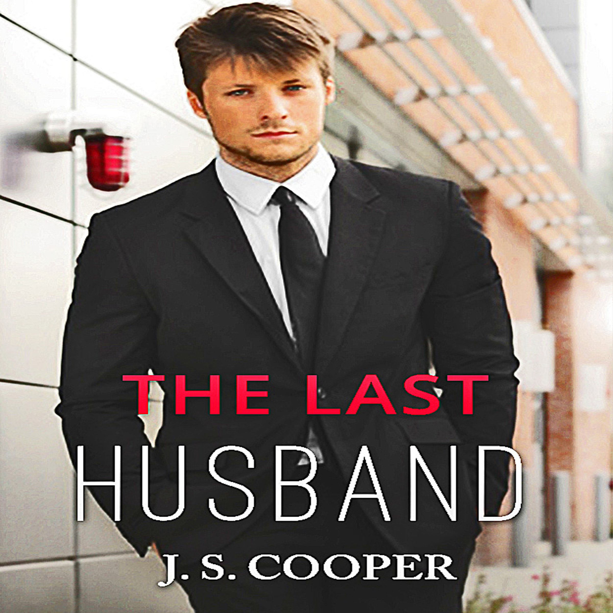 Cover art for The Last Husband