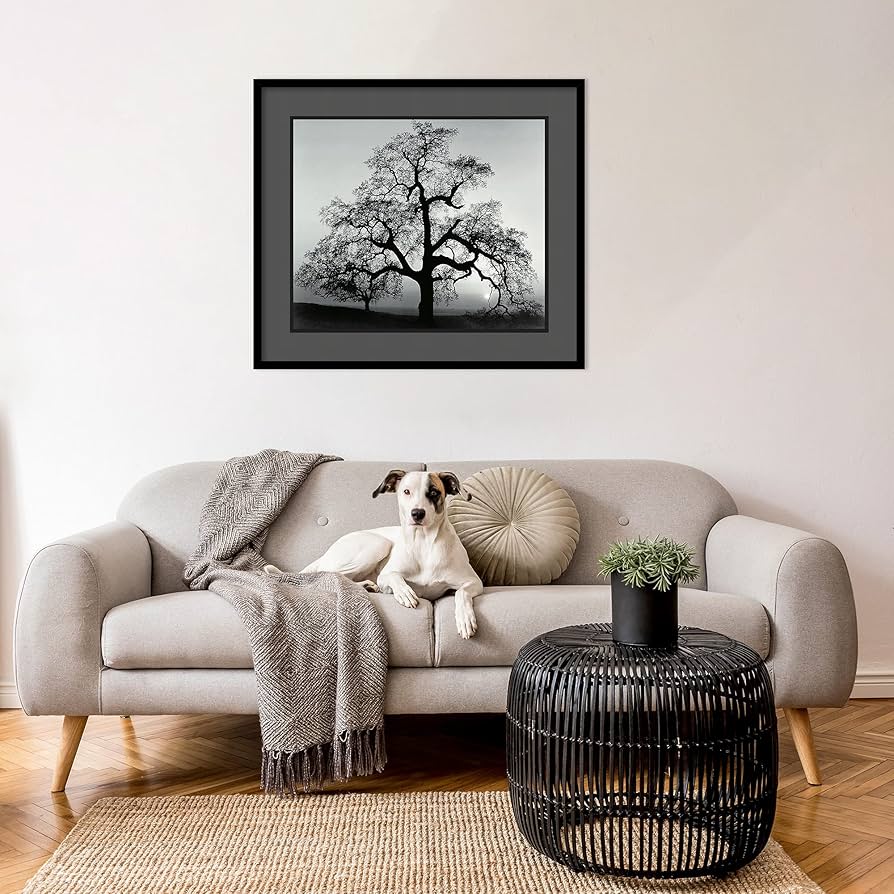 絵画 flk041135 絵画 flk041135 絵画 flk041132 アート 絵画 アート 絵画 Zx