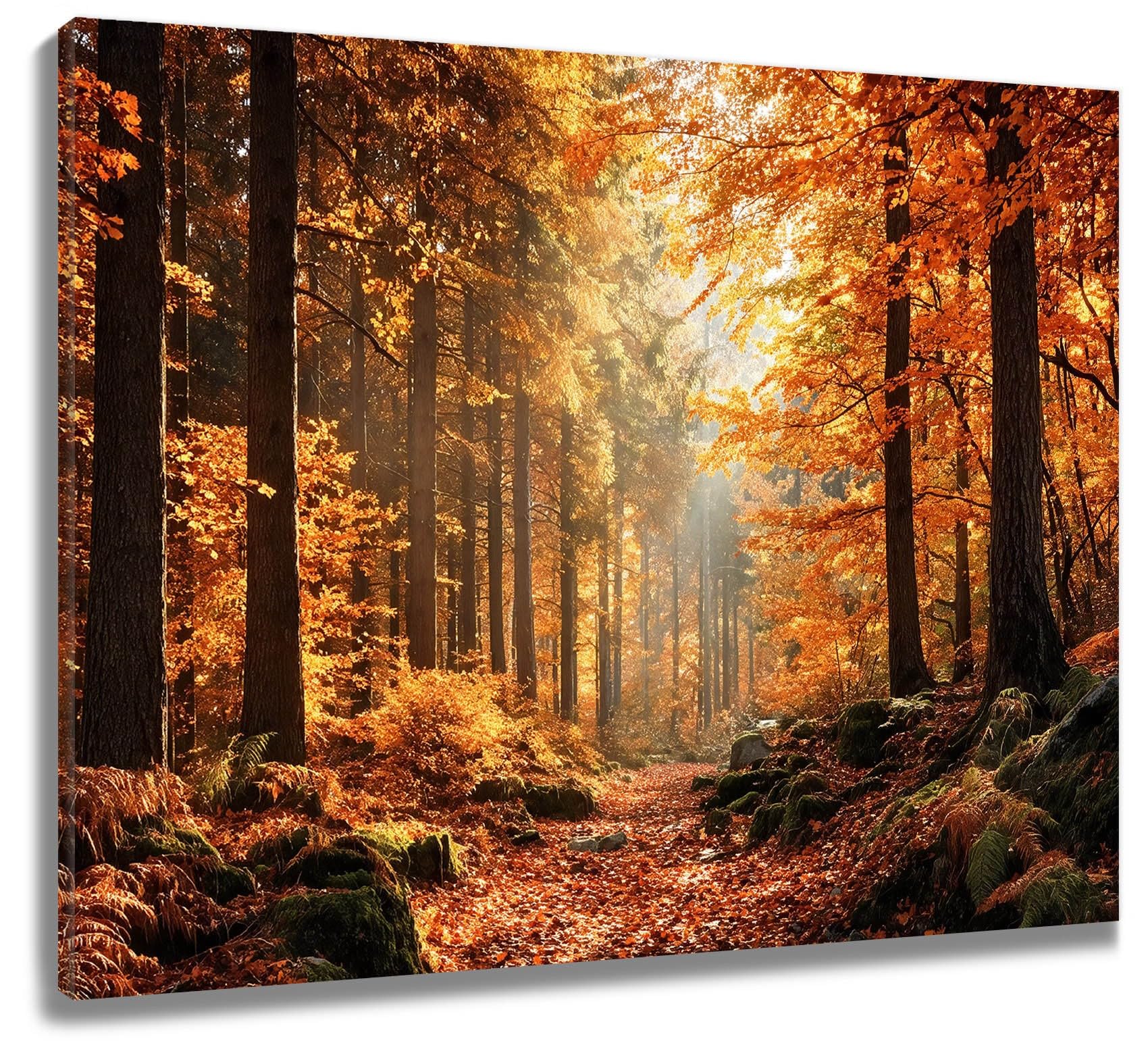 LB Fall Forest Framed Wall Art