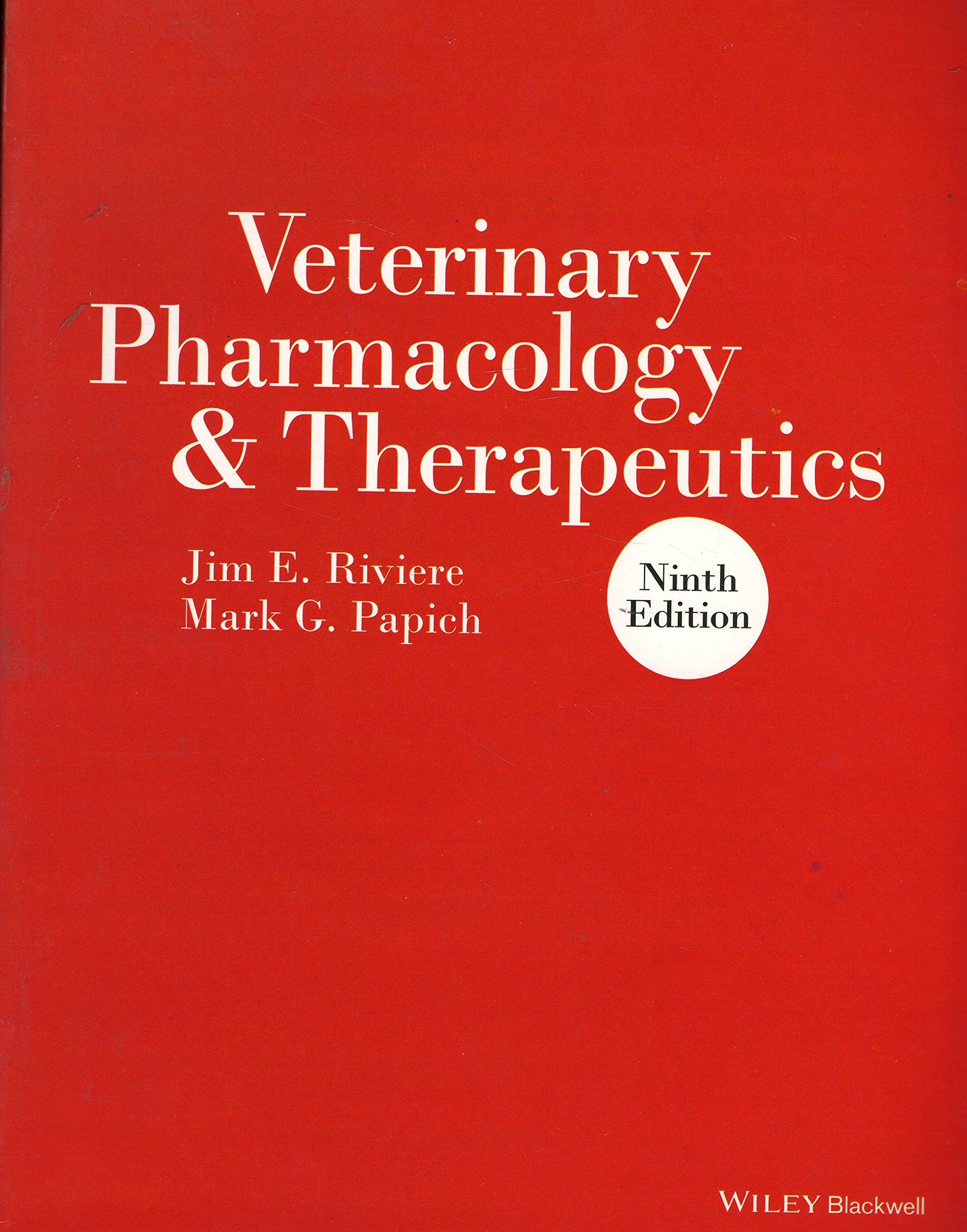 Comparative Adjectives visual data 7