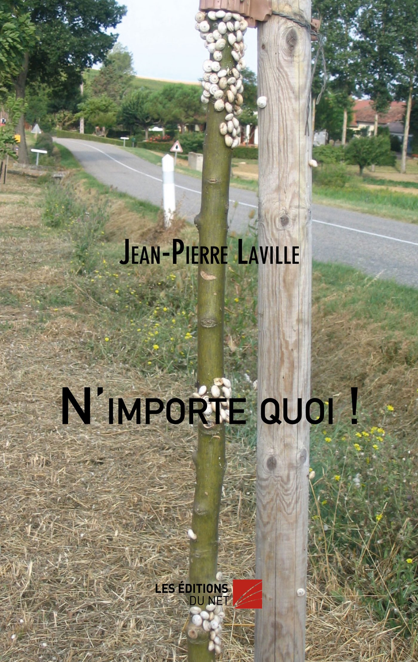 N'importe quoi ! (French Edition)