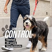 Vista 4 de Correa corta para perros con mango de tráfico para perros grandes. Ideal para acopladores de perro doble, perros de servicio y entrenamiento, 18