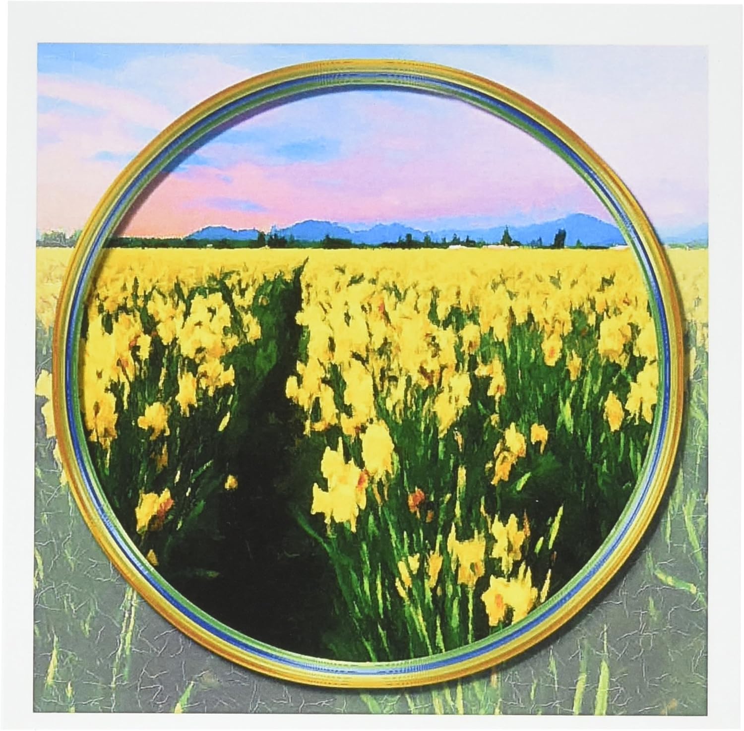 Field of Yellow Daffodils - Greeting Cards, 6 x 6 inches, set of 12 (gc_21942_2)
