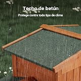 Ver la foto 5
