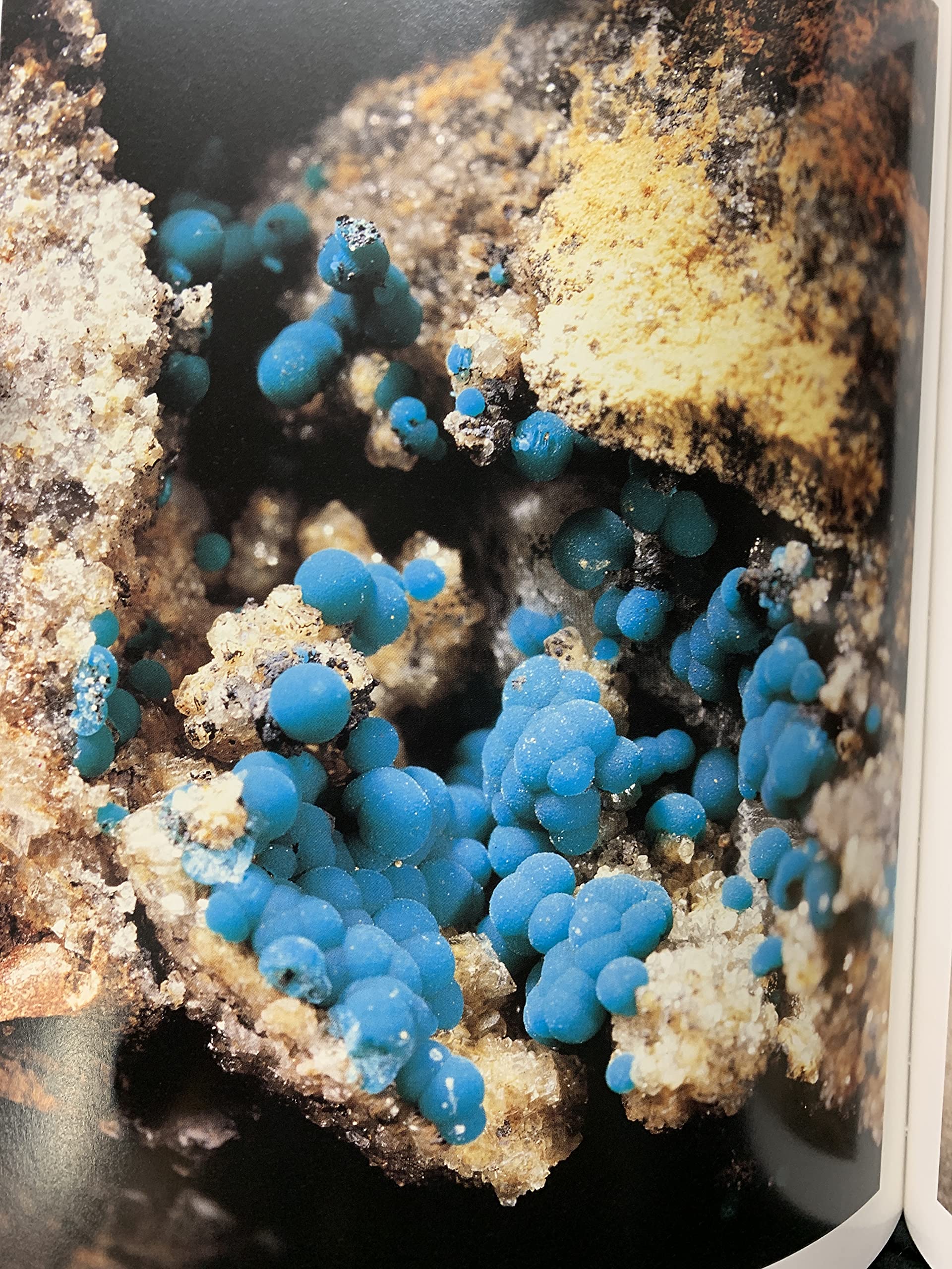 Mineralien und Fundstellen in der Bundesrepublik Deutschland: 1000 Mineralien - 500 Fundstellen