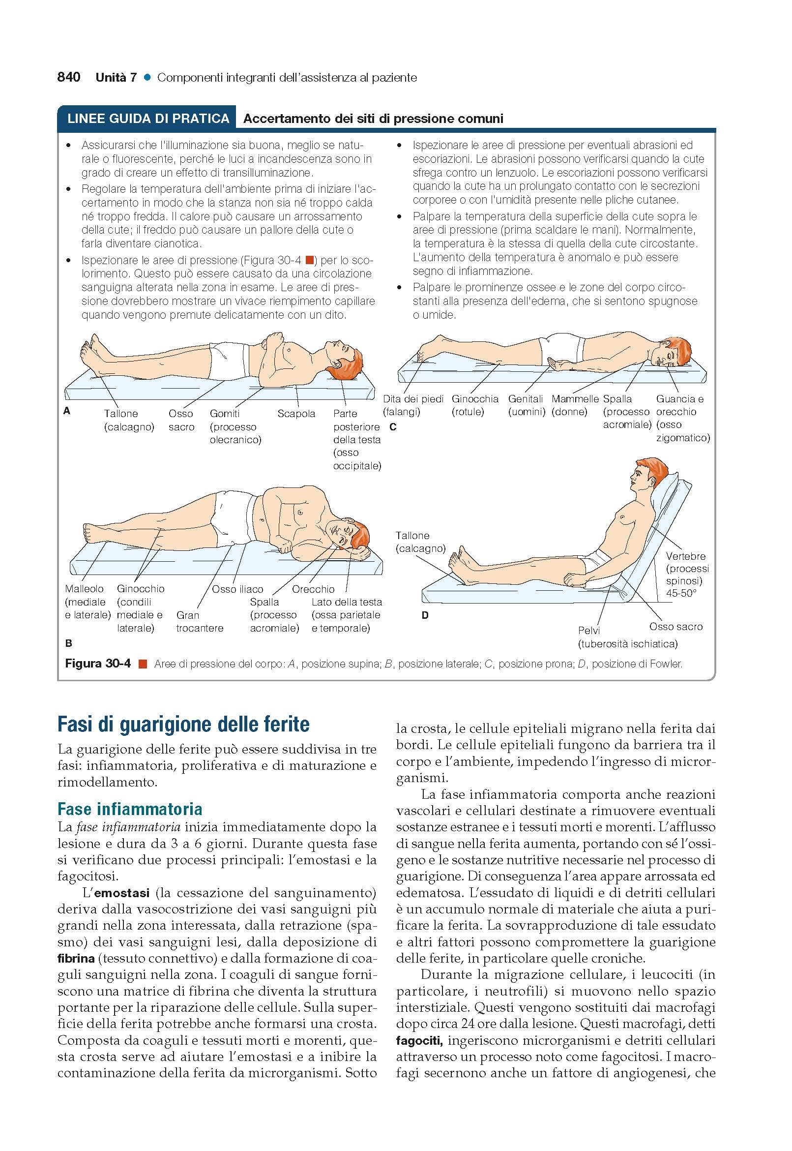Fondamenti del nursing secondo Kozier ed Erb. Concetti, procedure e pratica