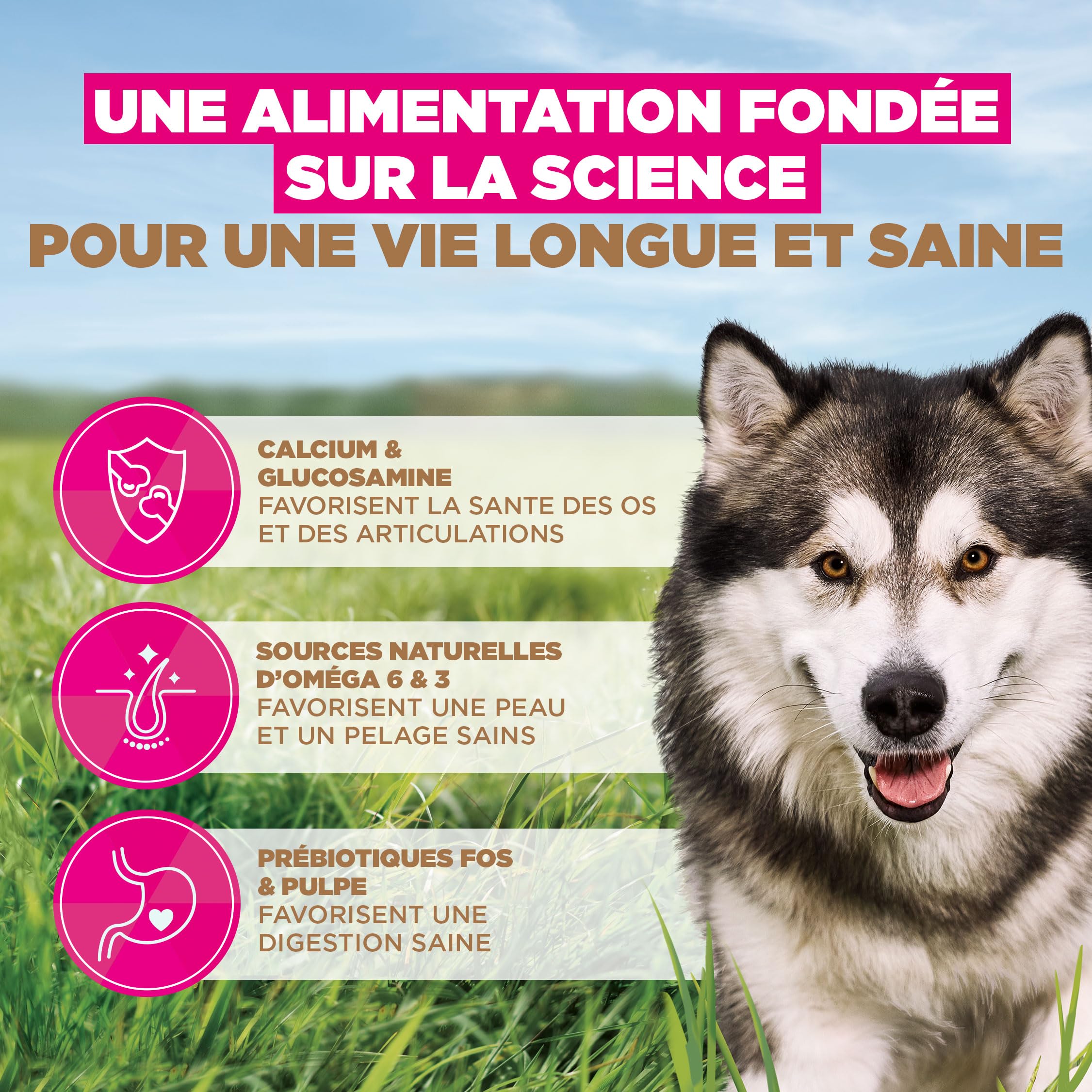 EUKANUBA Chien Adulte Grande Race sans Céréales Poisson 12 kg