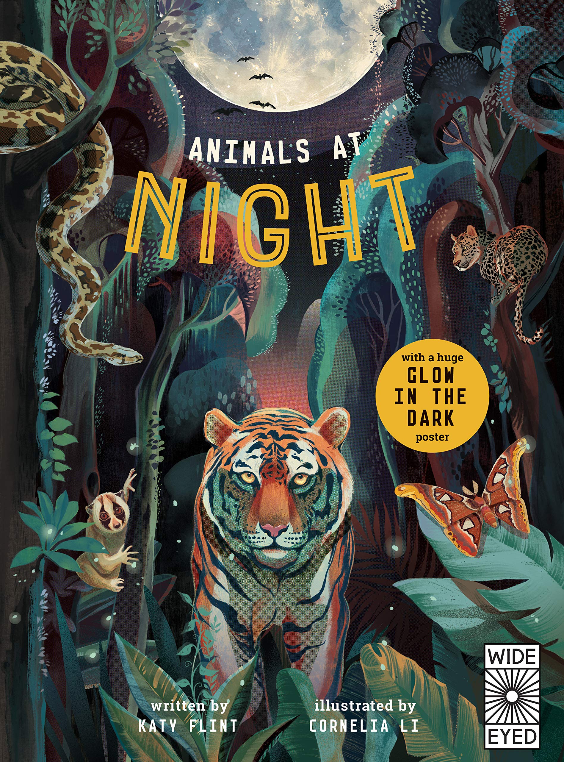 Bloomsbury Glow in the Dark: Animals at Night