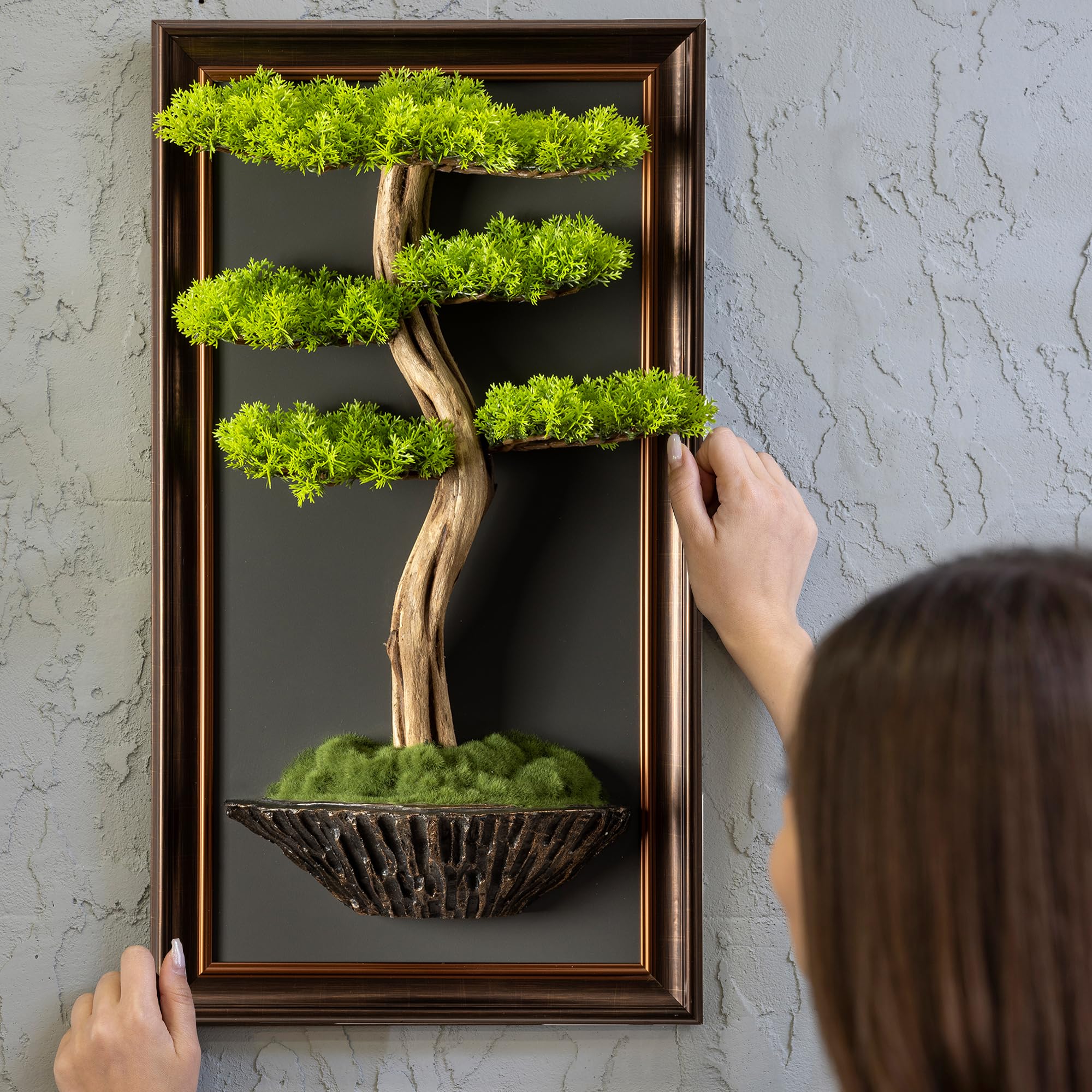 Amazon.com: Bonsai Art Life Tree Tableau - 6 Handmade Tree Portrait, Wall  Art, Wall Decor: Mixed Media