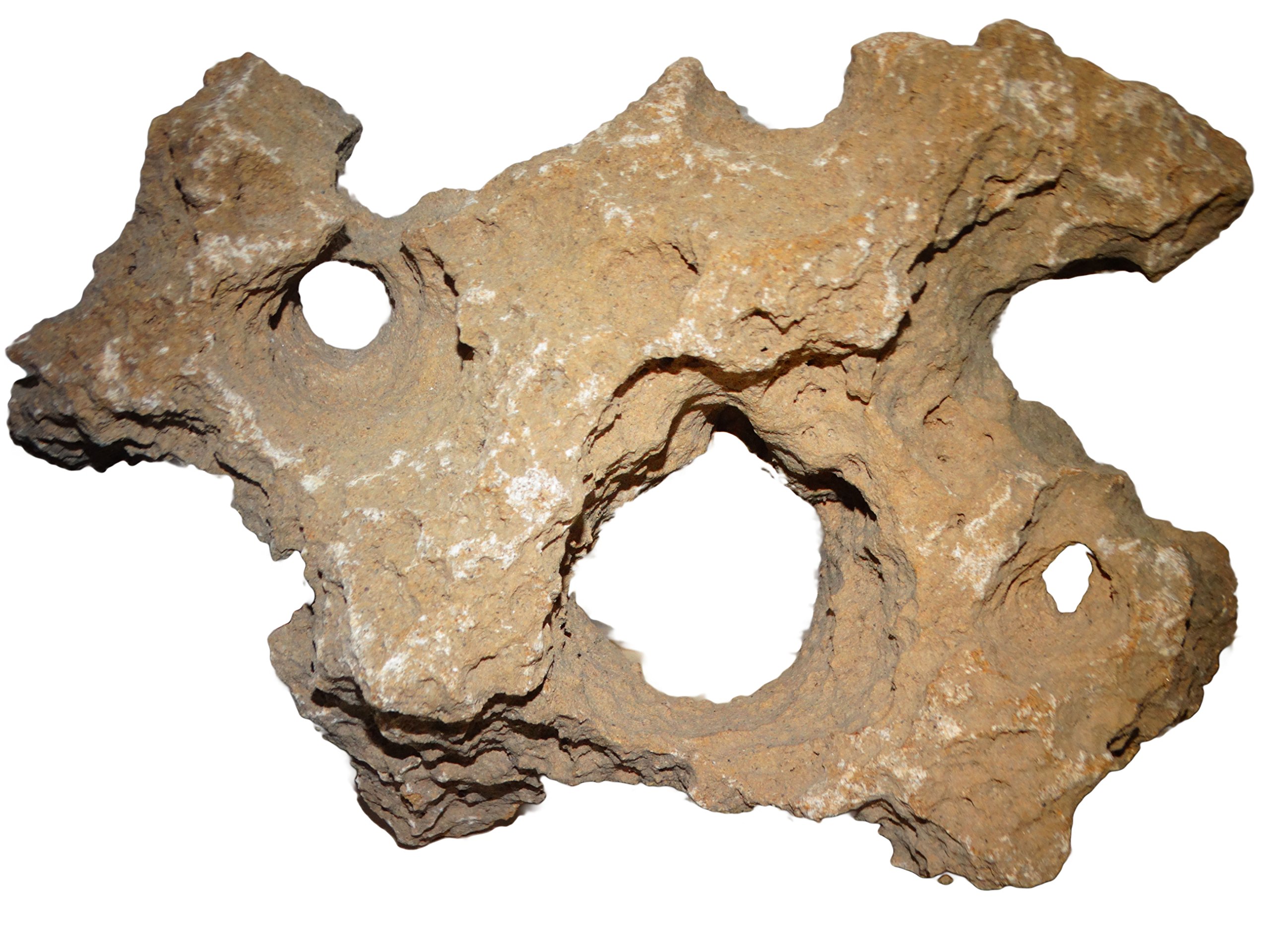Maaalavya 3kg Hollo Rock for |Aquarium Decoration|Reef Tank Setup|Garden Decor|Water Stone.