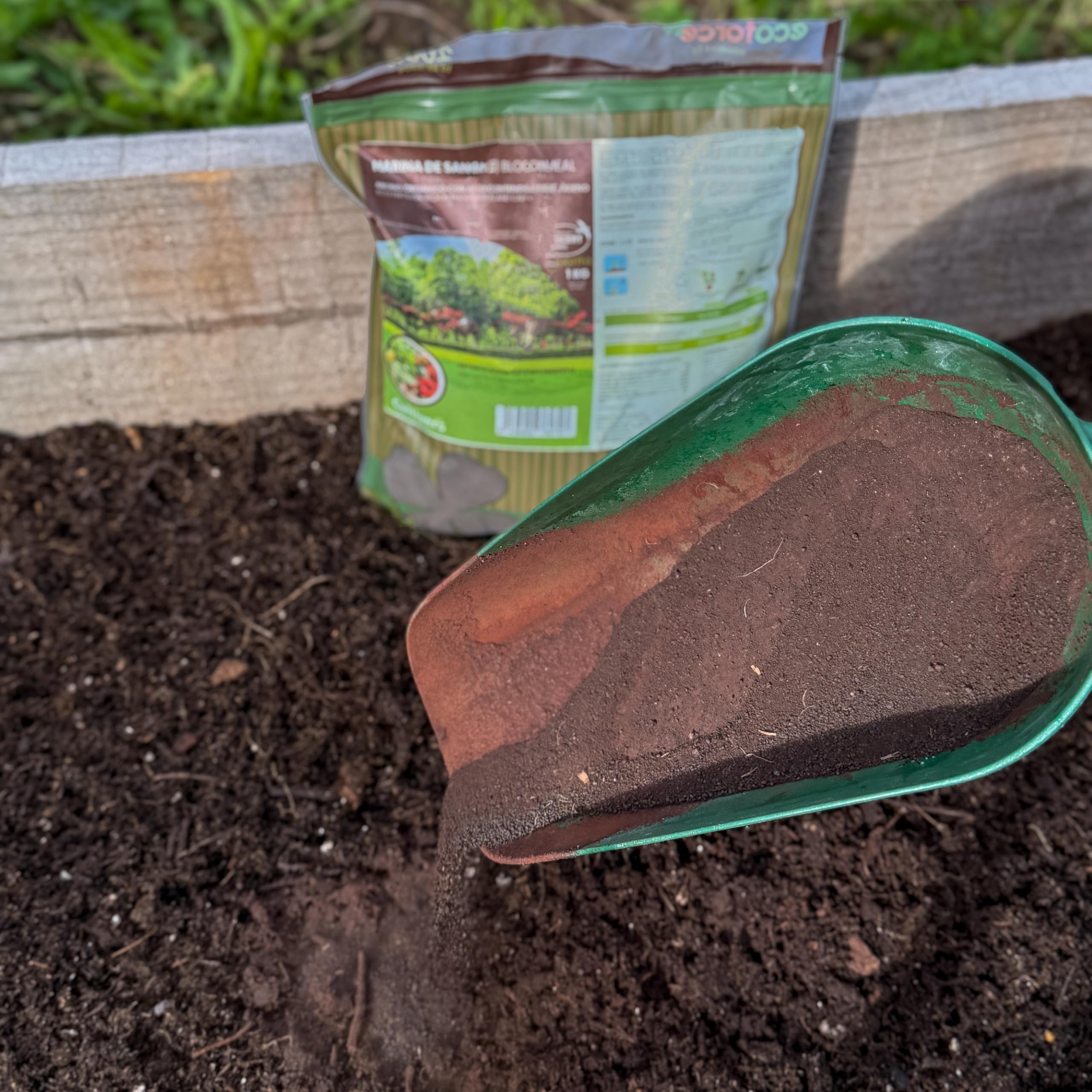 CULTIVERS Blutmehl 5 kg | ECOCERT-zertifizierter Bio-Dünger mit hohem Stickstoff- und organischem Substanzgehalt | Natürlicher Bodenverbesserer für Boden, Gemüsegarten und Garten