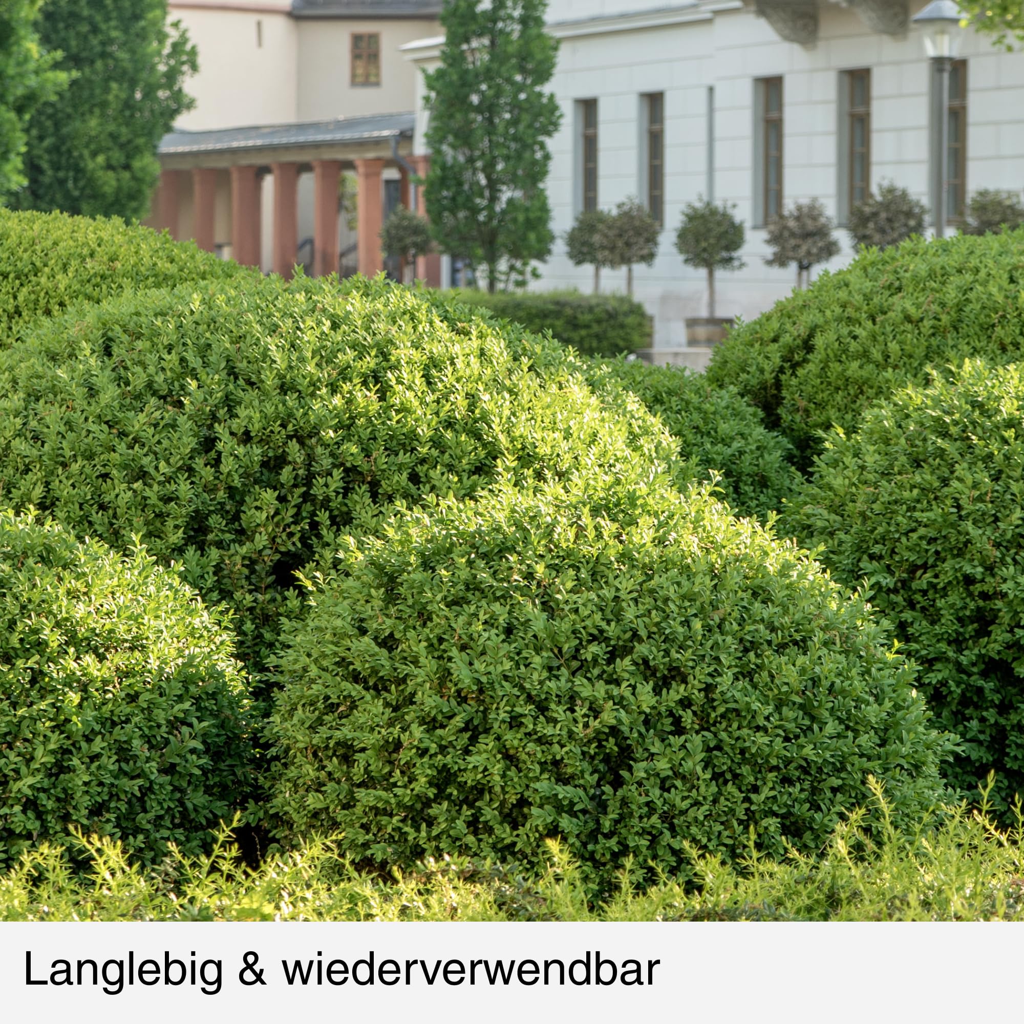 Schutznetz gegen Buchsbaumzünsler Buxit – Feinmaschiges Pflanzenschutznetz für Buchsbäume & Zierpflanzen – Wiederverwendbar, UV-beständig, engmaschig, 5 Meter