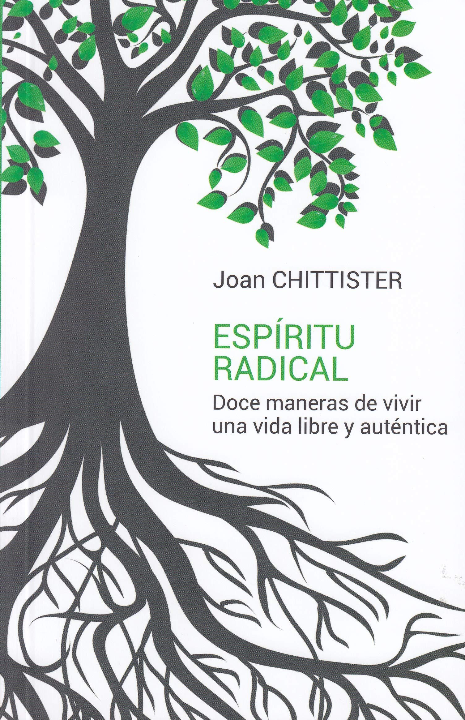 Sal Terrae Espíritu Radical: Doce maneras de vivir una vida libre y auténtica