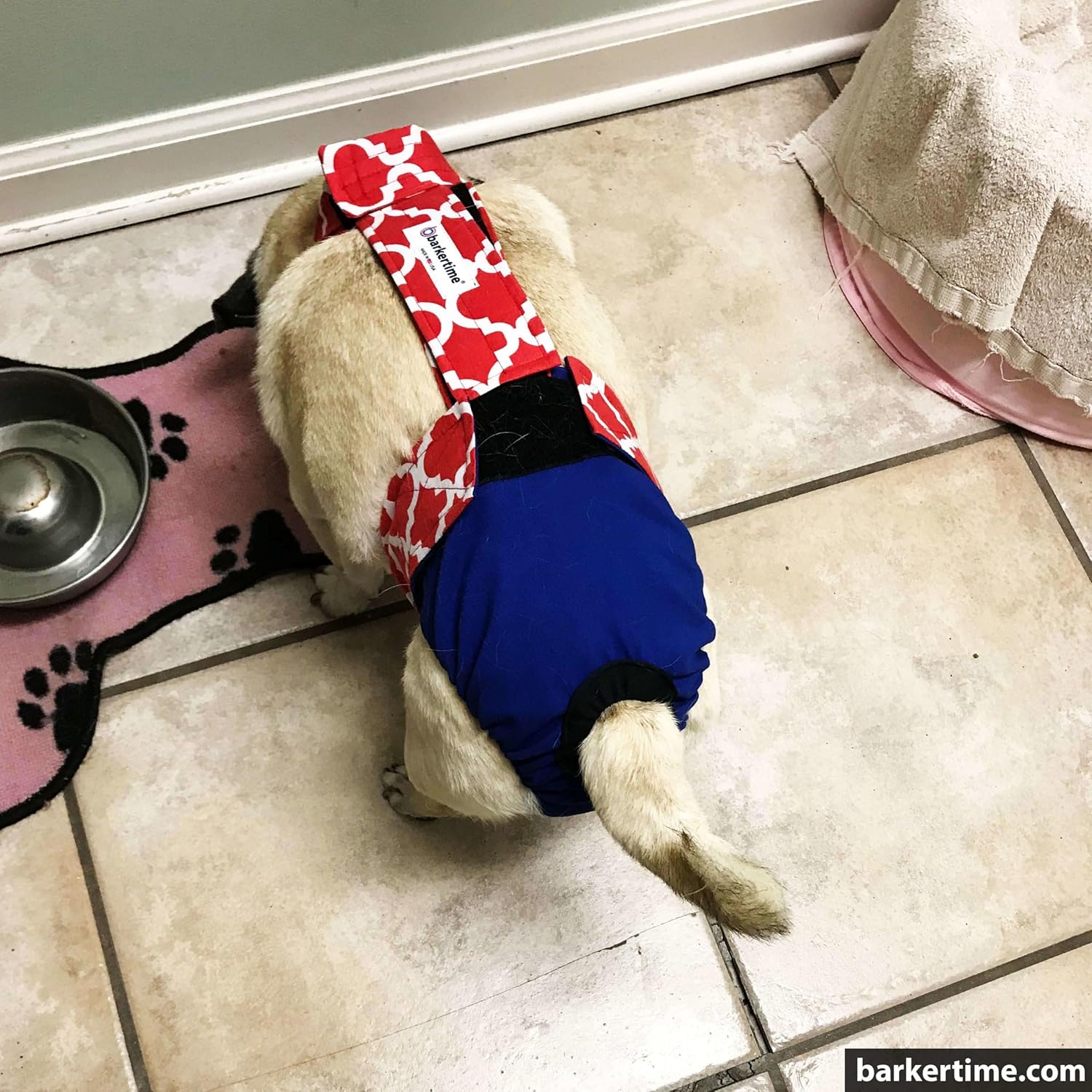 Red Quatrefoil on Blue Dog Diaper Overall, XS, Without Tail Hole - Made in USA