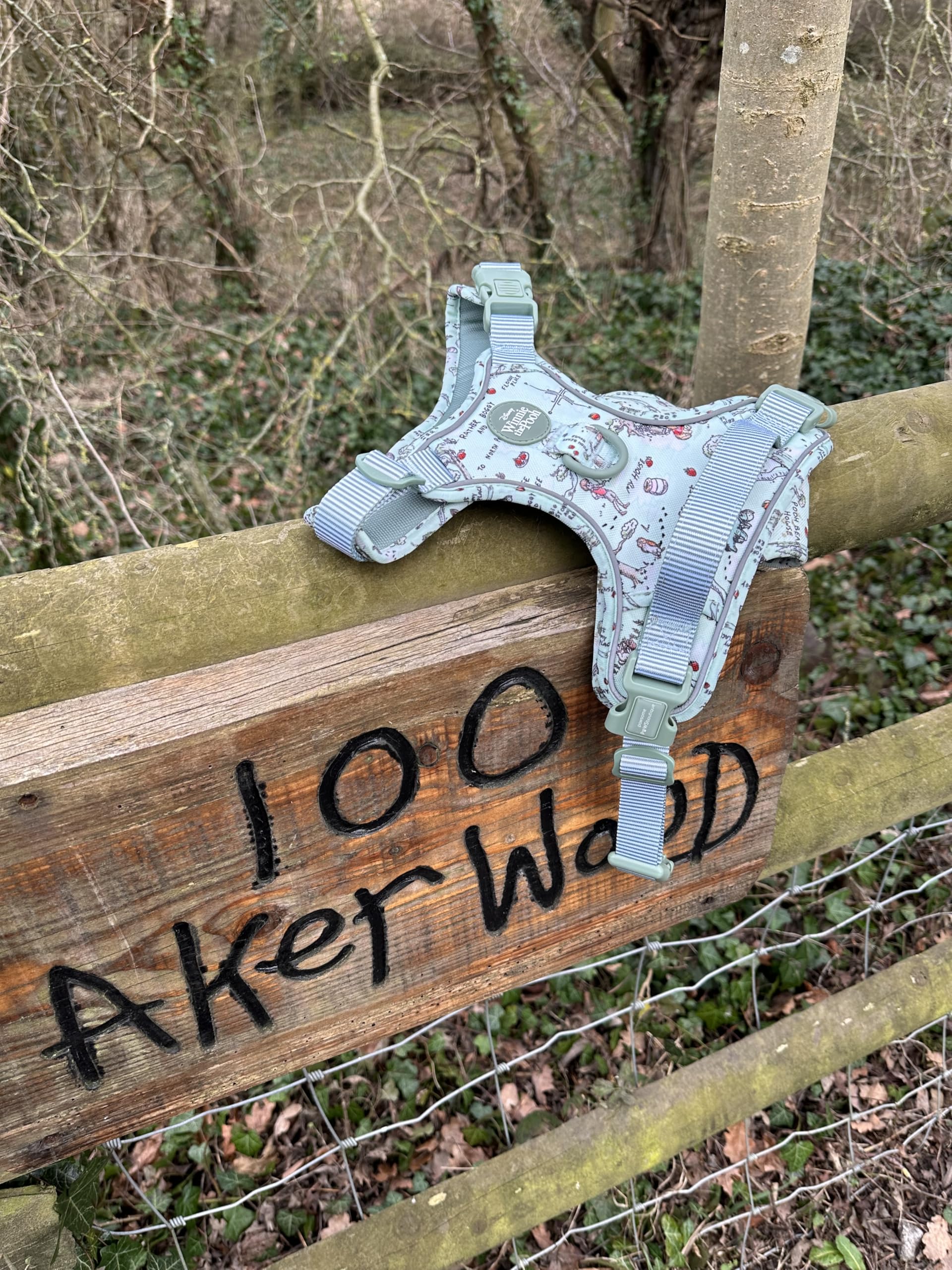 Pawsome Paws Boutique Aker Woods Hundegeschirr, robust, verstellbar, Disney-Design, kein Ziehen, mit reflektierendem Rand und Stabiler Schnalle, 100 Stück