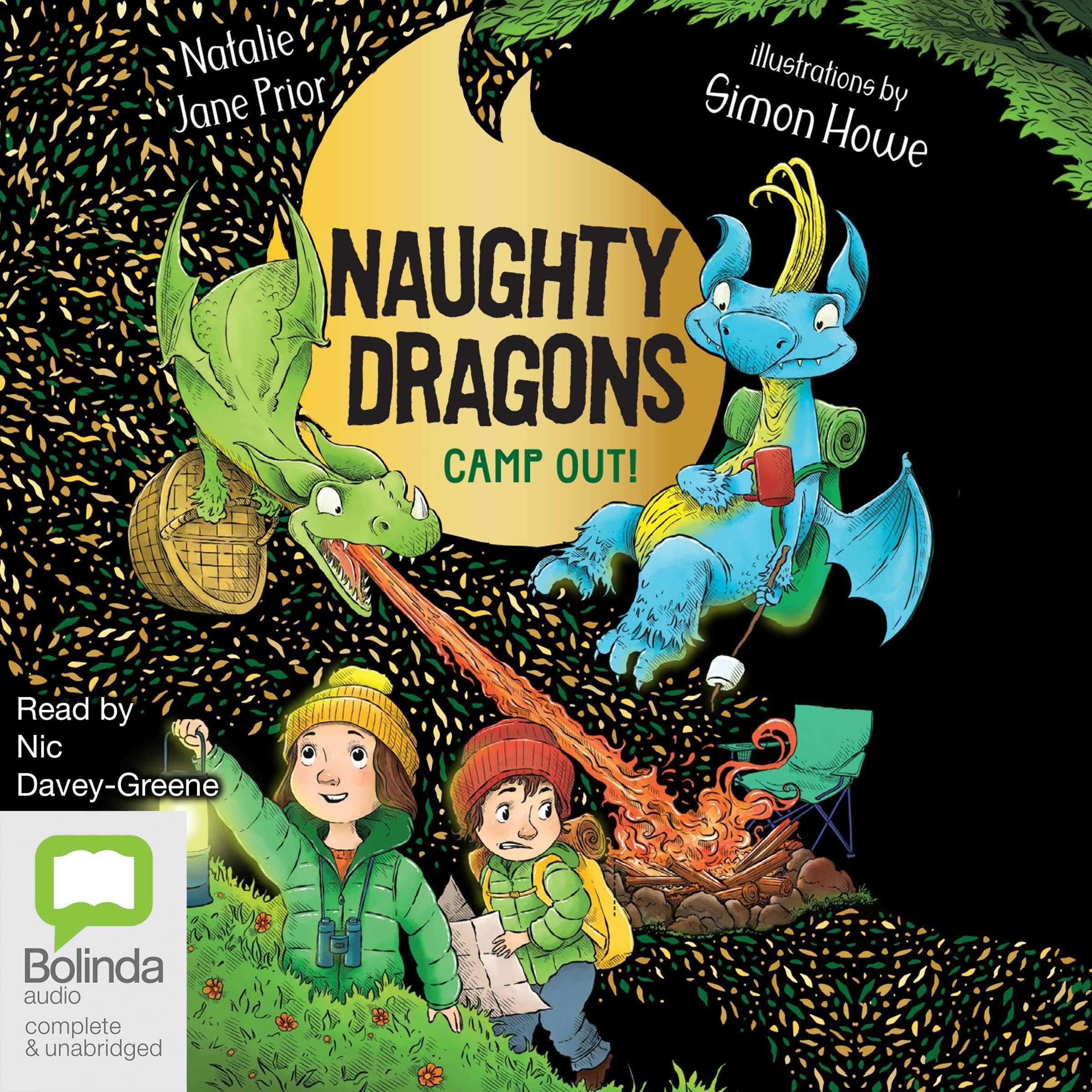 Cover art for Naughty Dragons Camp Out!