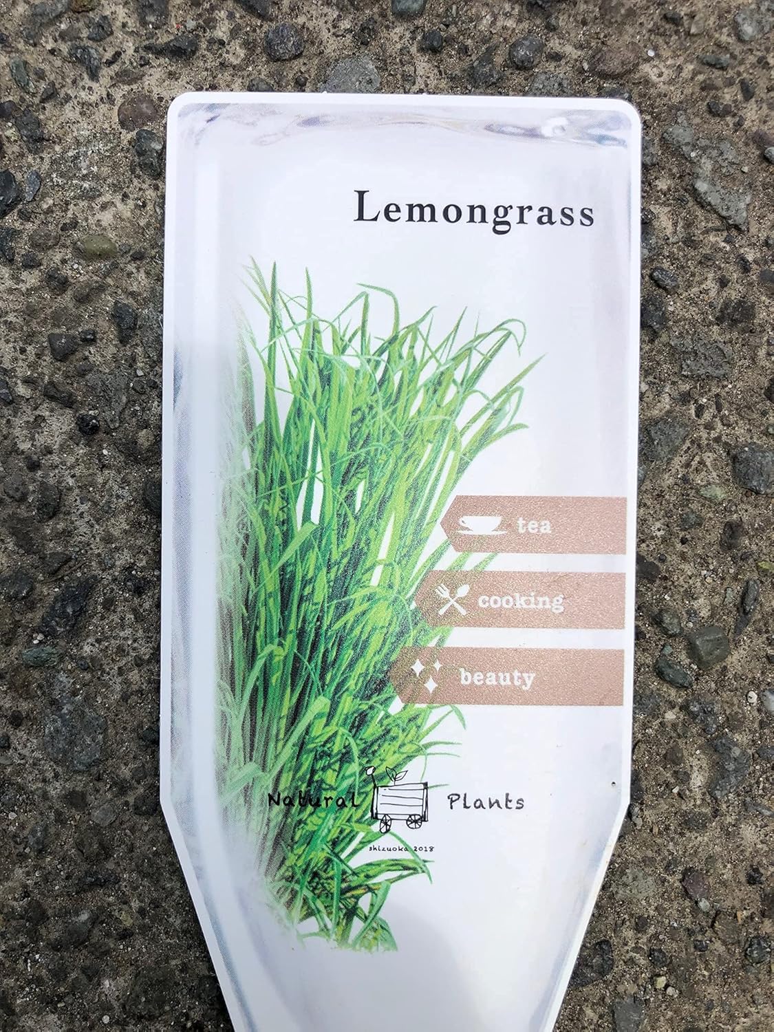 人気の贈り物が大集合 レモングラス3号 2個セット 虫除け リラクゼーション リフレッシュ ハーブ 植物 おまかせ 園芸 ガーデニング 寄せ植え 鉢花 鉢植え 苗 香り 誕生日 記念日 プレゼント 贈り物 2 Almeghar Com 人気の贈り物が大集合 レモングラス3号 2個セット 虫除け リラクゼーション リフレッシュ ハーブ 植物 おまかせ 園芸 ガーデニング 寄せ植え 鉢花 鉢植え 苗 香り 誕生日 記念日 プレゼント 贈り物 2 Almeghar Com