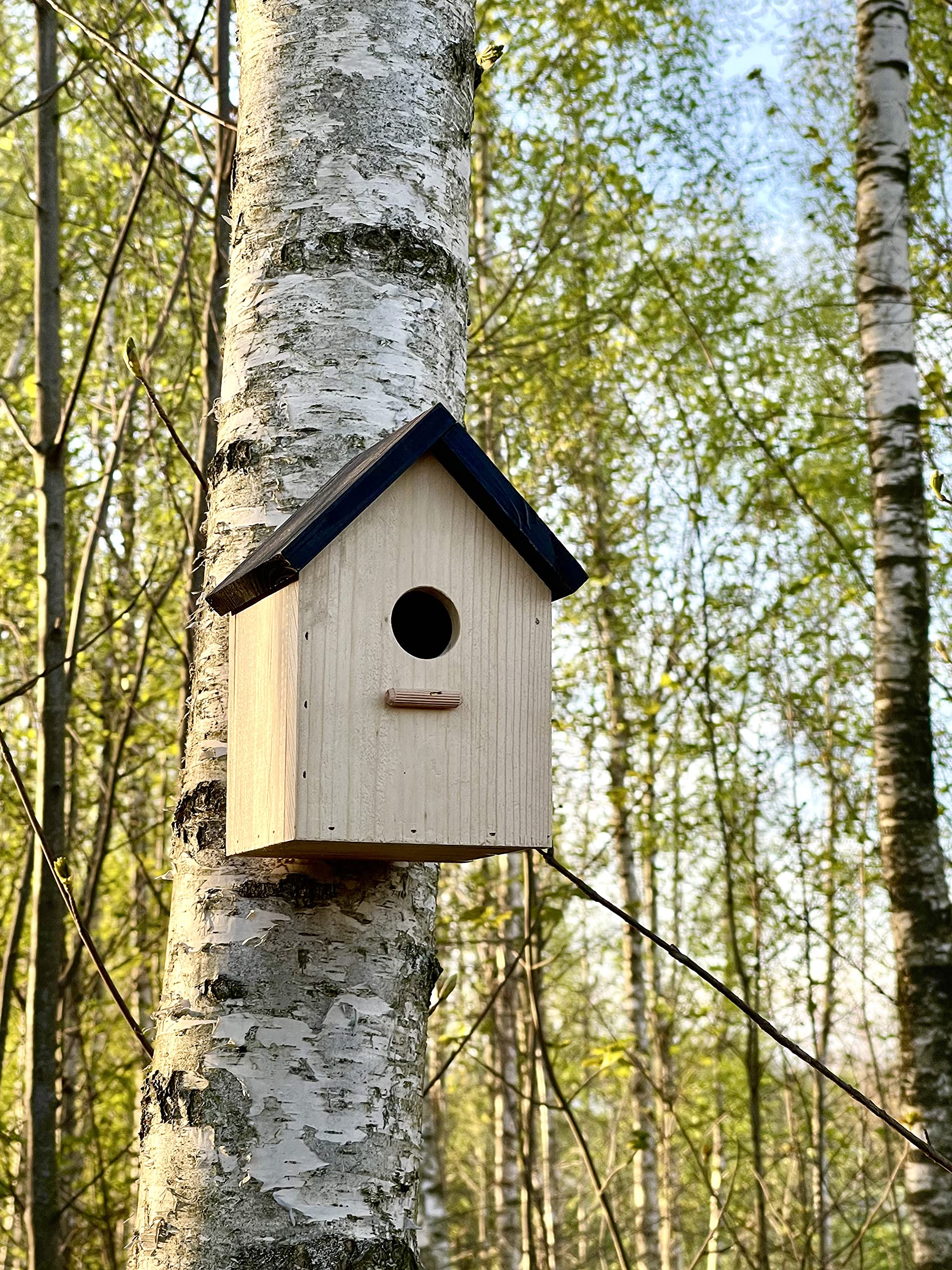 Nido Per Uccelli In Legno 35mm | Casetta Per Cinciallegre E Passeri | Resistente Alle Intemperie Per Giardino - 5
