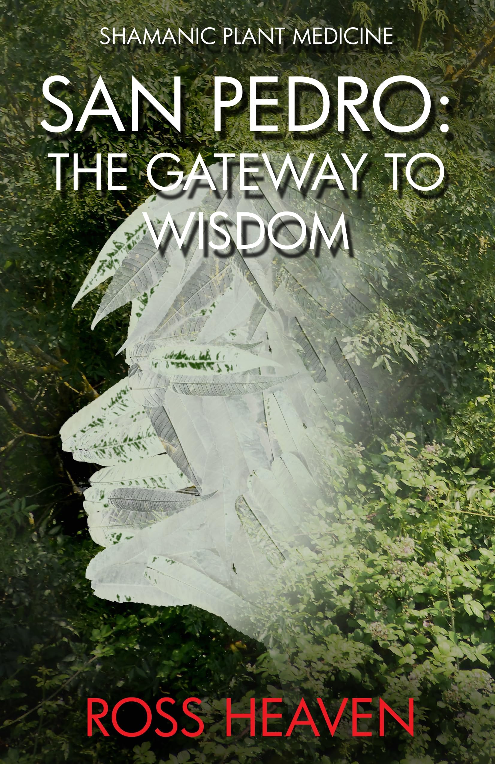 Shamanic Plant Medicine - San Pedro: The Gateway to Wisdom Paperback – 1 July 2016