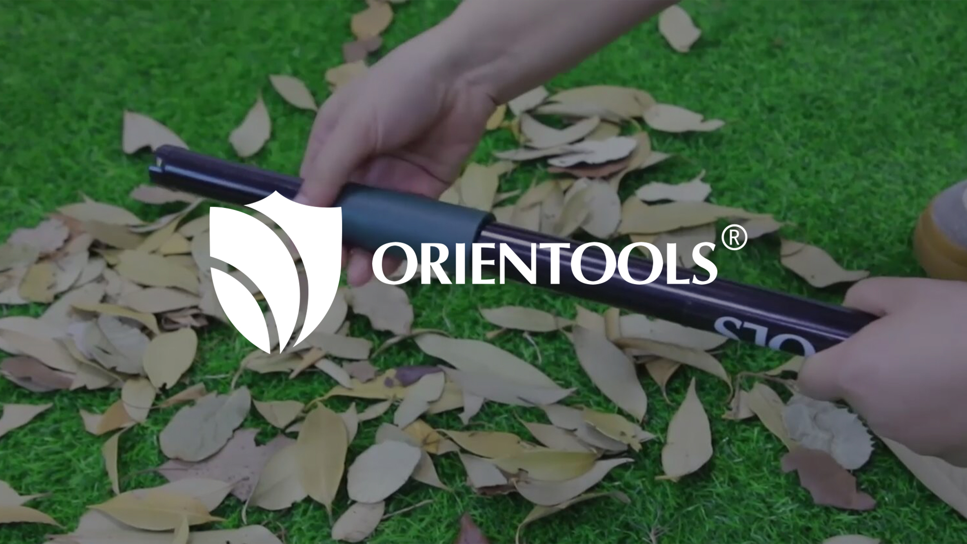 Amazon.com : ORIENTOOLS Garden Leaf Rake 2 in 1 Turf Rake for