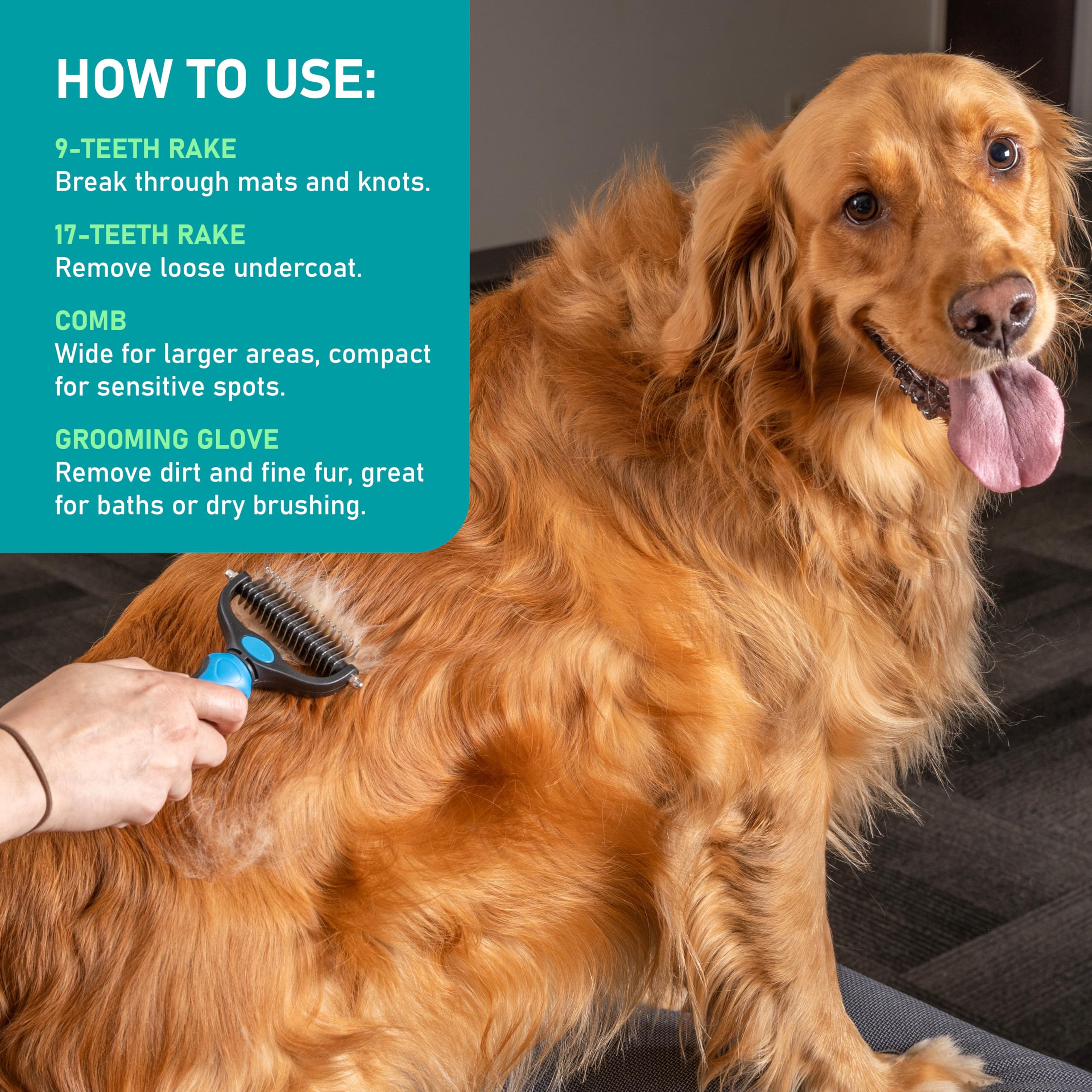 Maxpower Planet Brosse de toilettage pour animaux de compagnie – Peigne à sous-poils double face pour chiens et chats, extra large (B1 – Râteau, gants et peigne, grand)