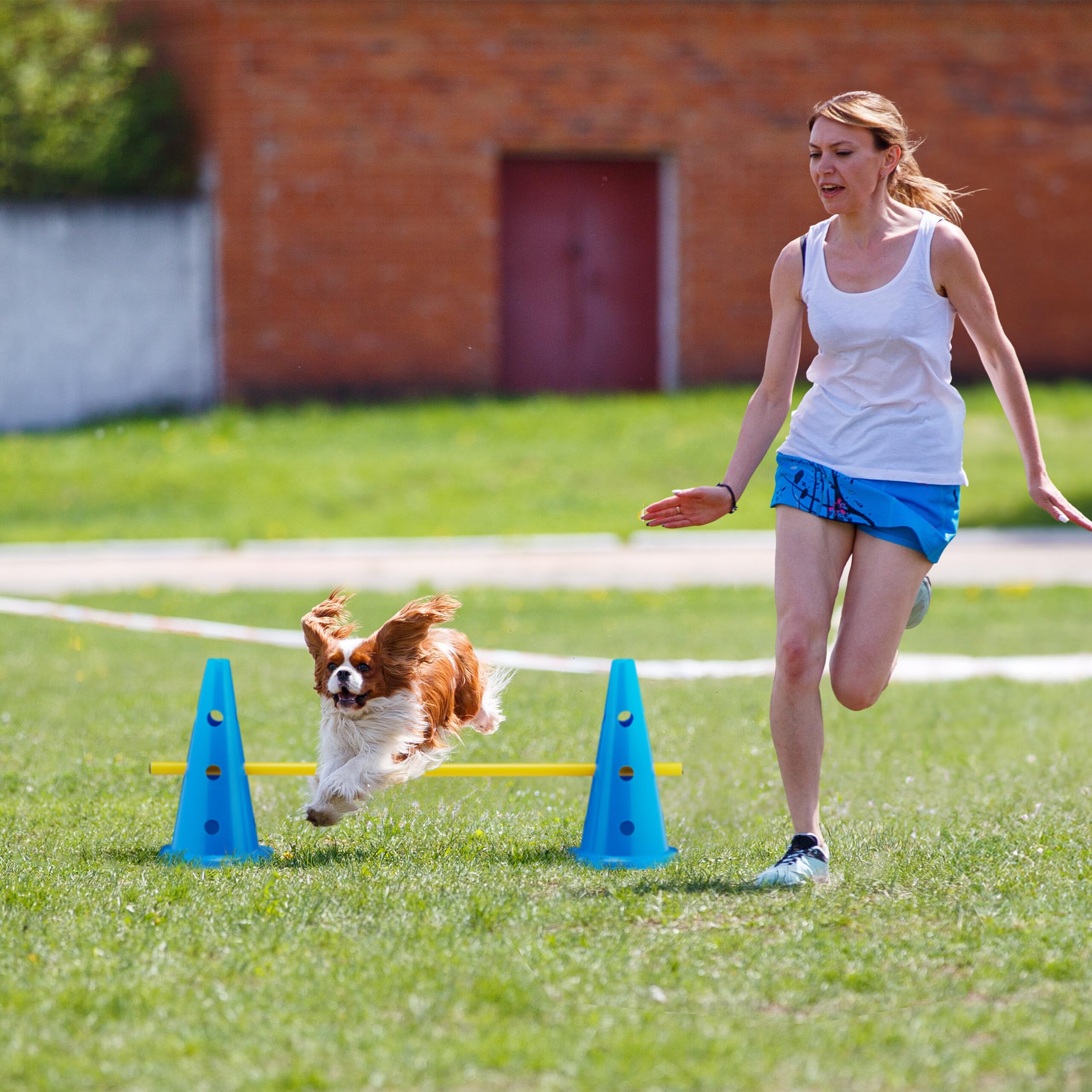 Relaxdays Set de 12 cônes et 6 Barres, 18 pièces pour l’Agility ou Le Football, Obstacles Chien, Bleu et Jaune